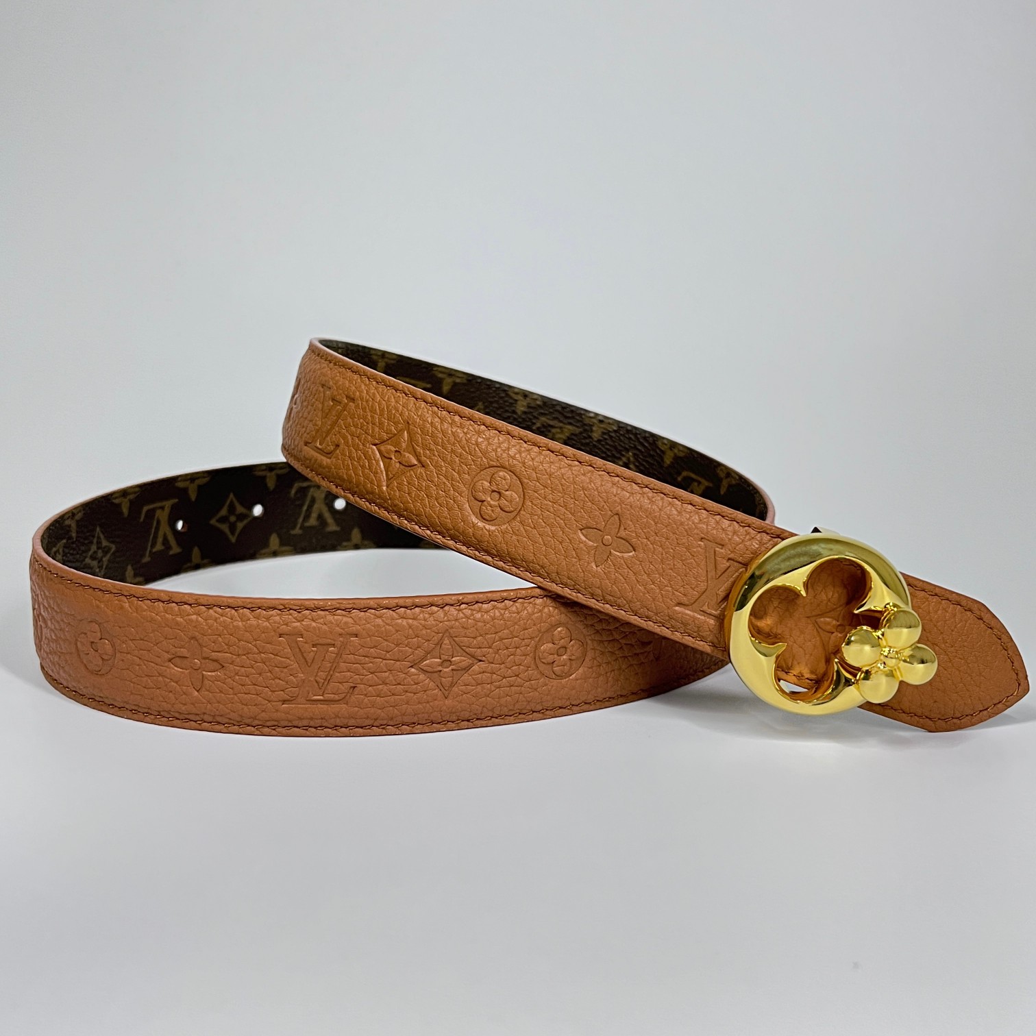 Louis Vuitton Female Basic Belt Canvas M-l