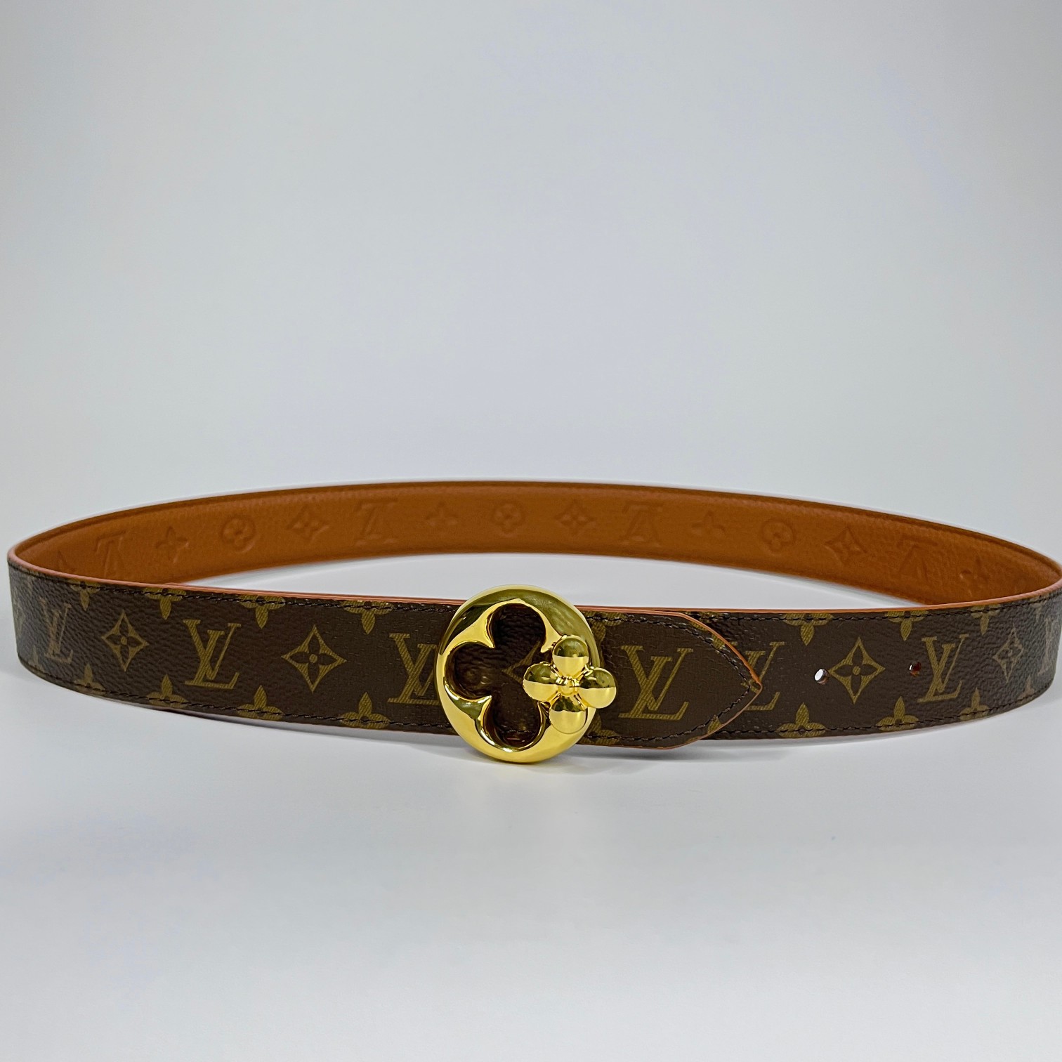 Louis Vuitton Female Basic Belt Canvas M-l