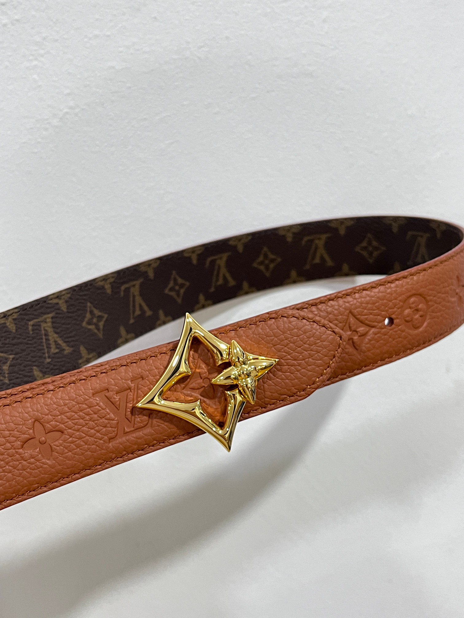 Louis Vuitton Female Basic Belt Canvas M