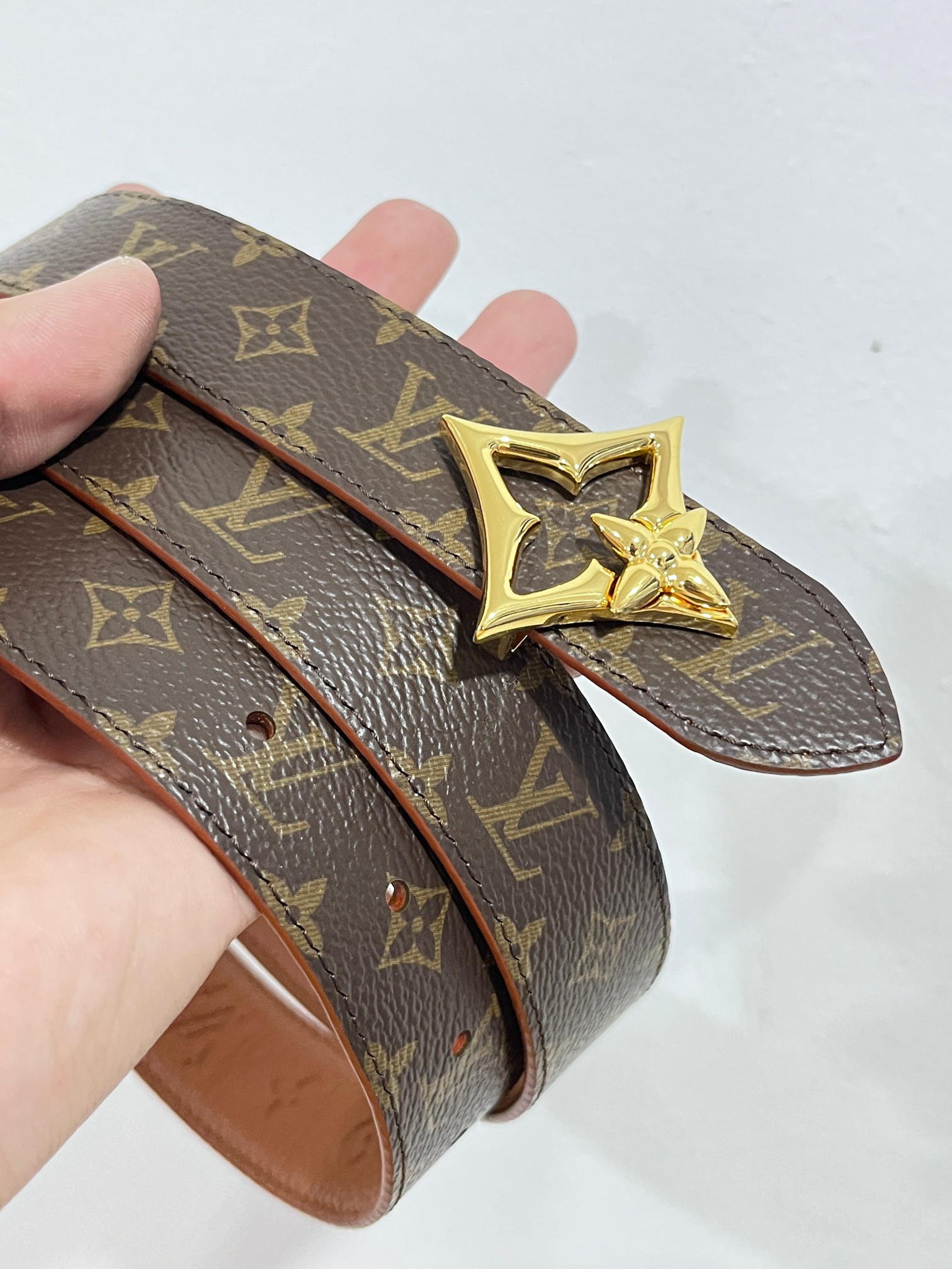 Louis Vuitton Female Basic Belt Canvas M
