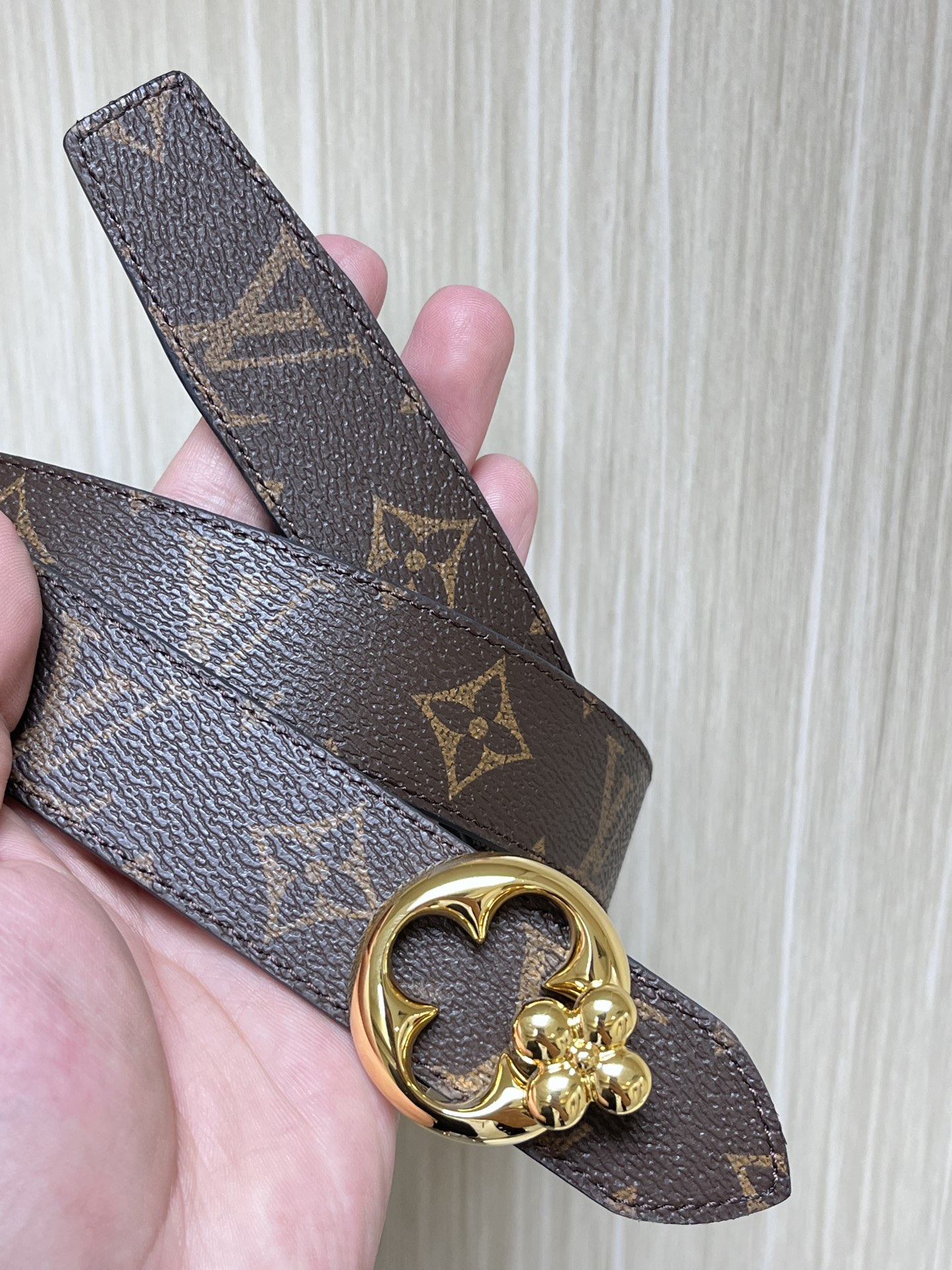 Louis Vuitton Female Basic Belt Canvas M