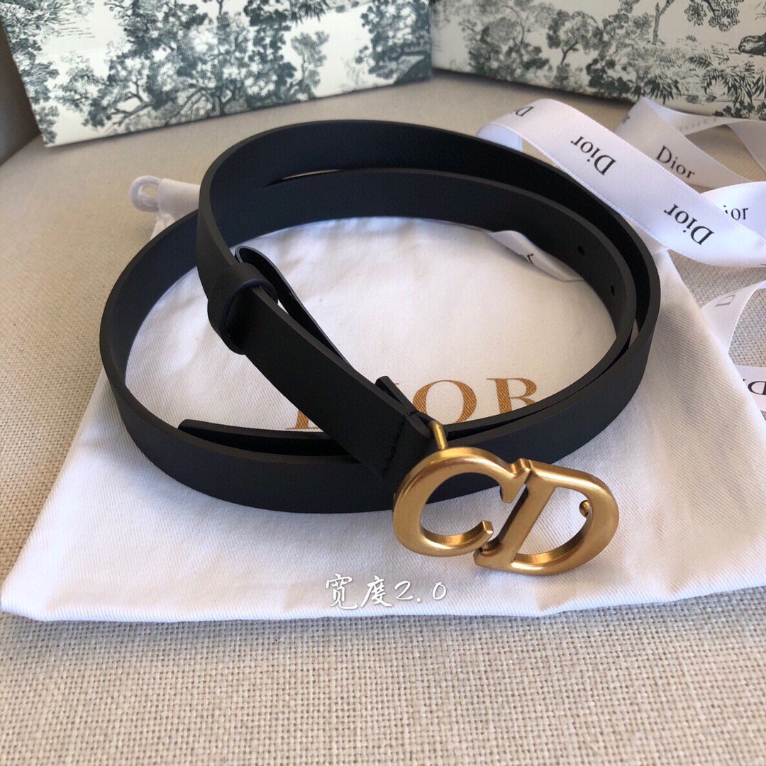 Dior Female Basic Belt Cow Leather Black S-l