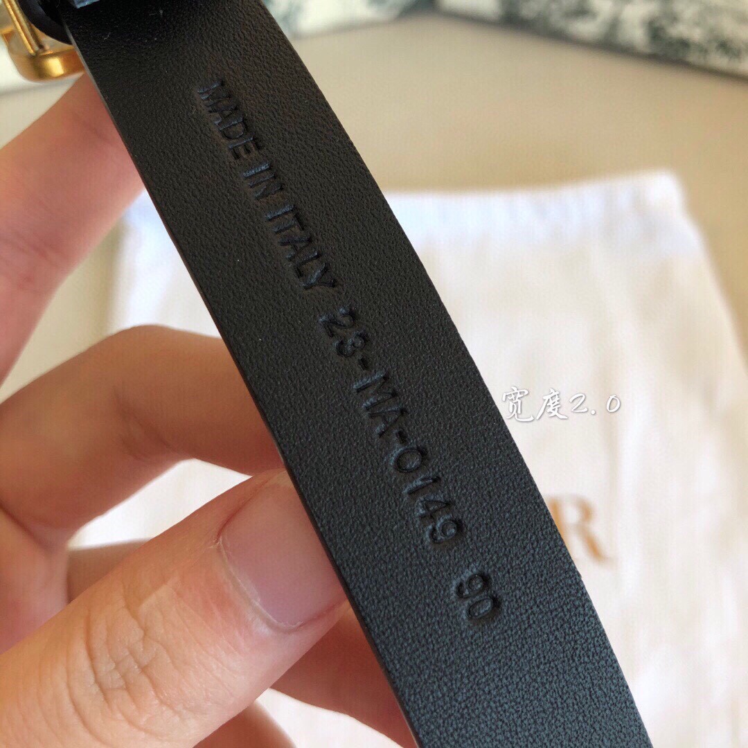 Dior Female Basic Belt Cow Leather Black S-l