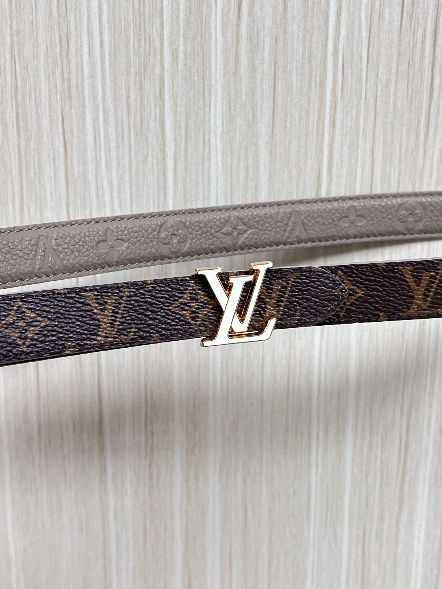 Female Basic Belt Canvas