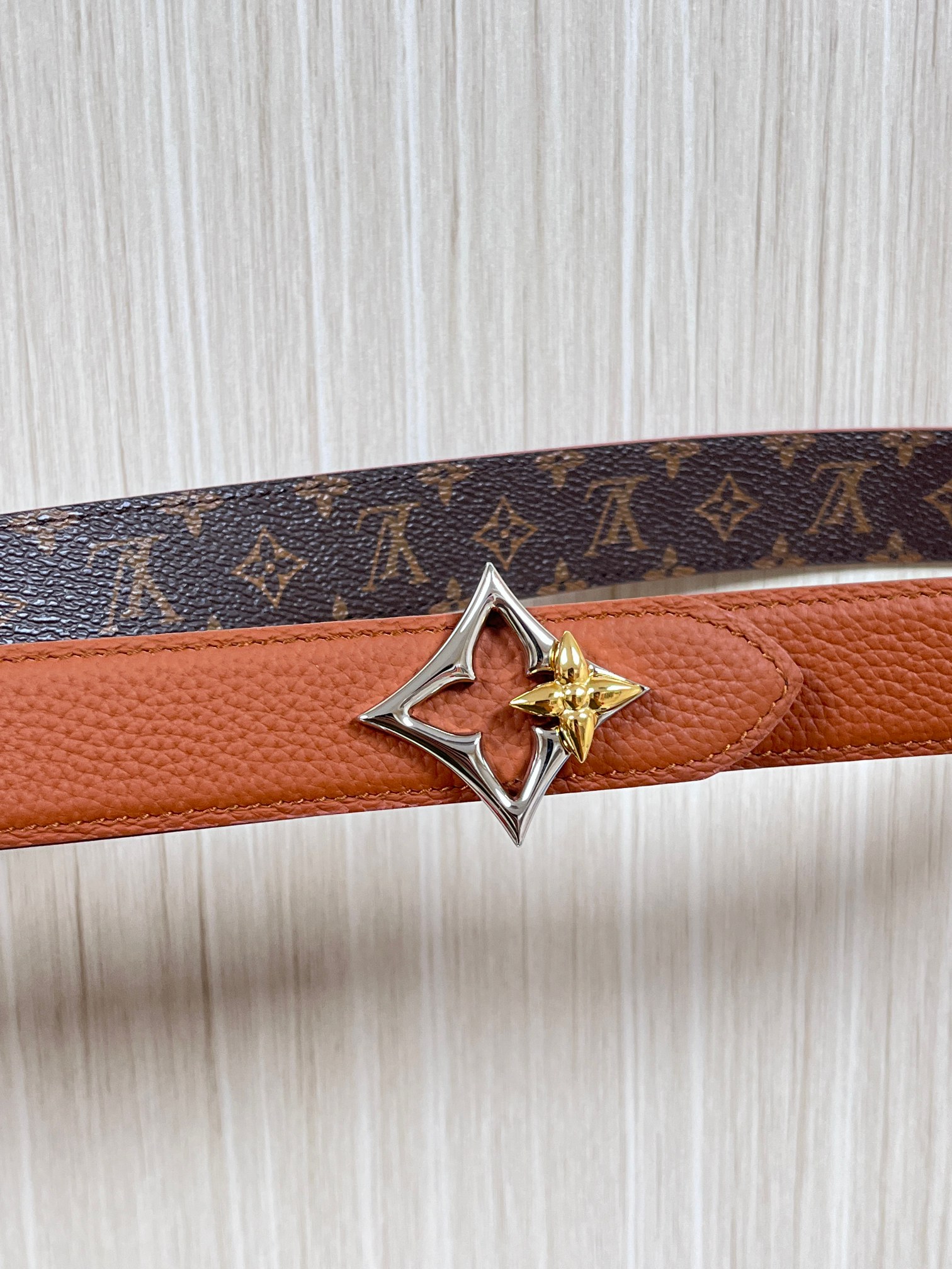 Louis Vuitton Female Basic Belt Canvas M-l