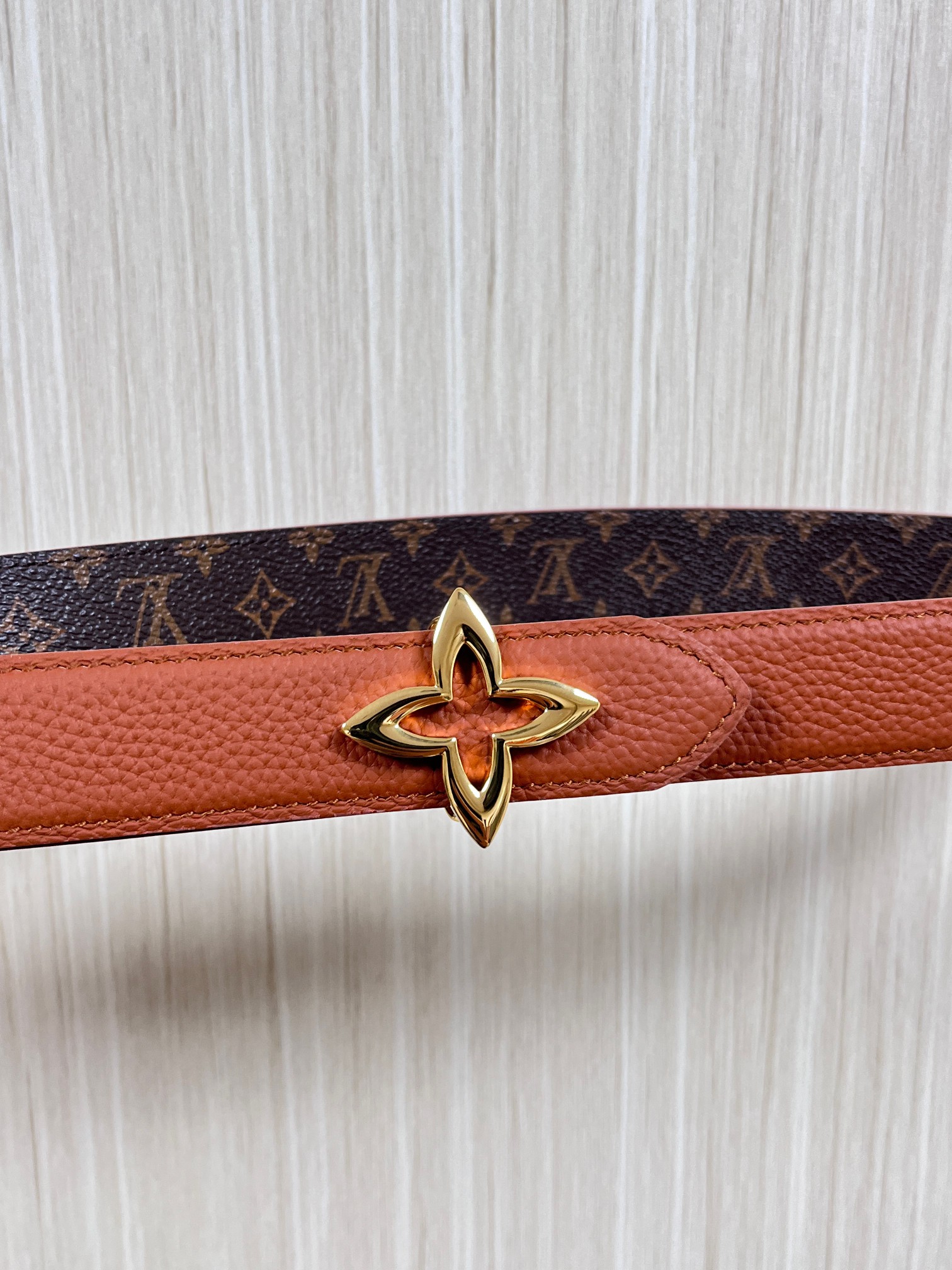Louis Vuitton Female Basic Belt Canvas M-l