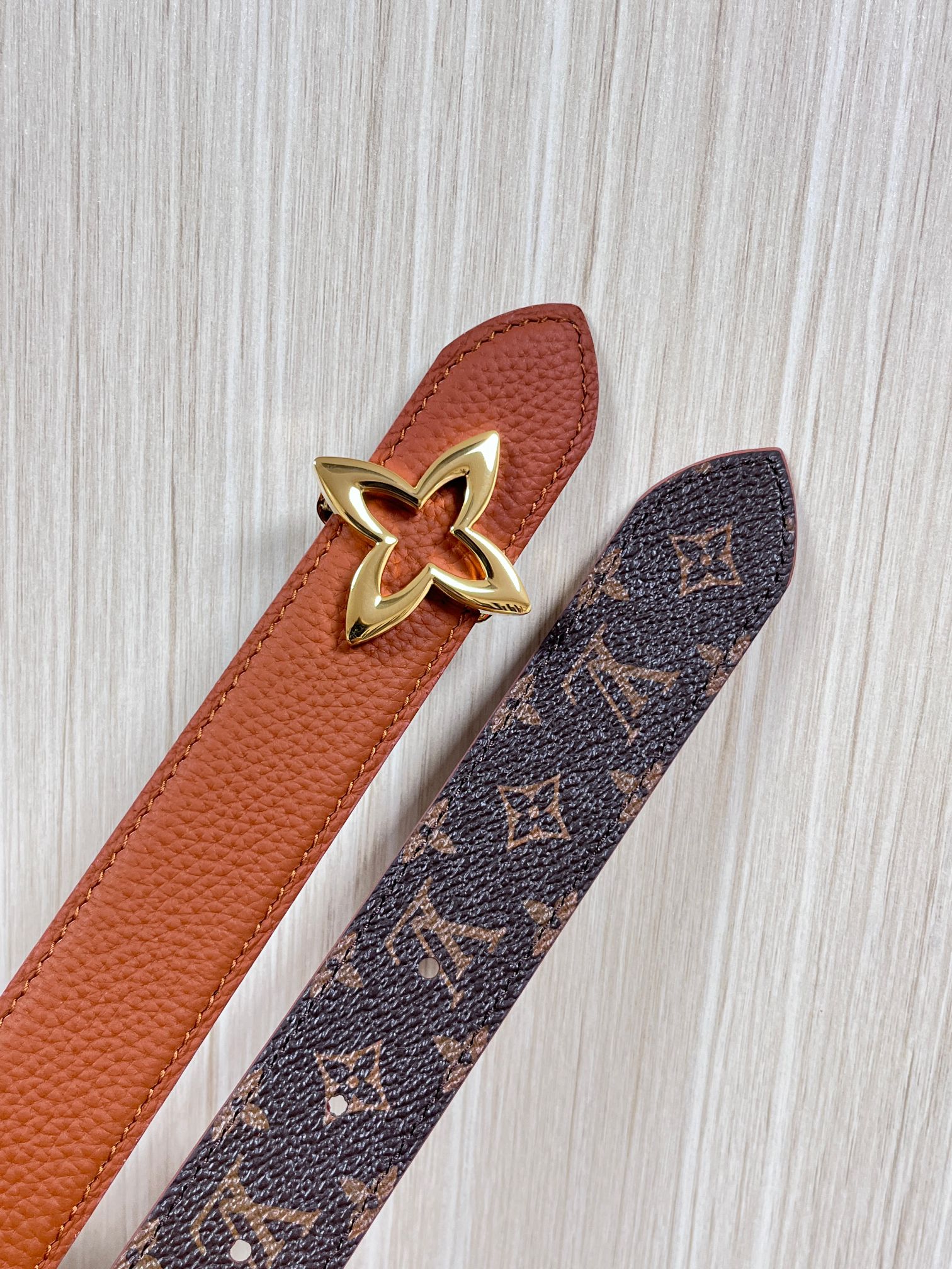 Louis Vuitton Female Basic Belt Canvas M-l