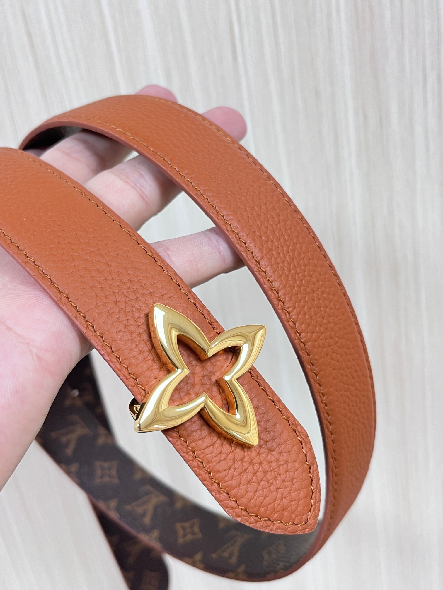 Louis Vuitton Female Basic Belt Canvas M-l