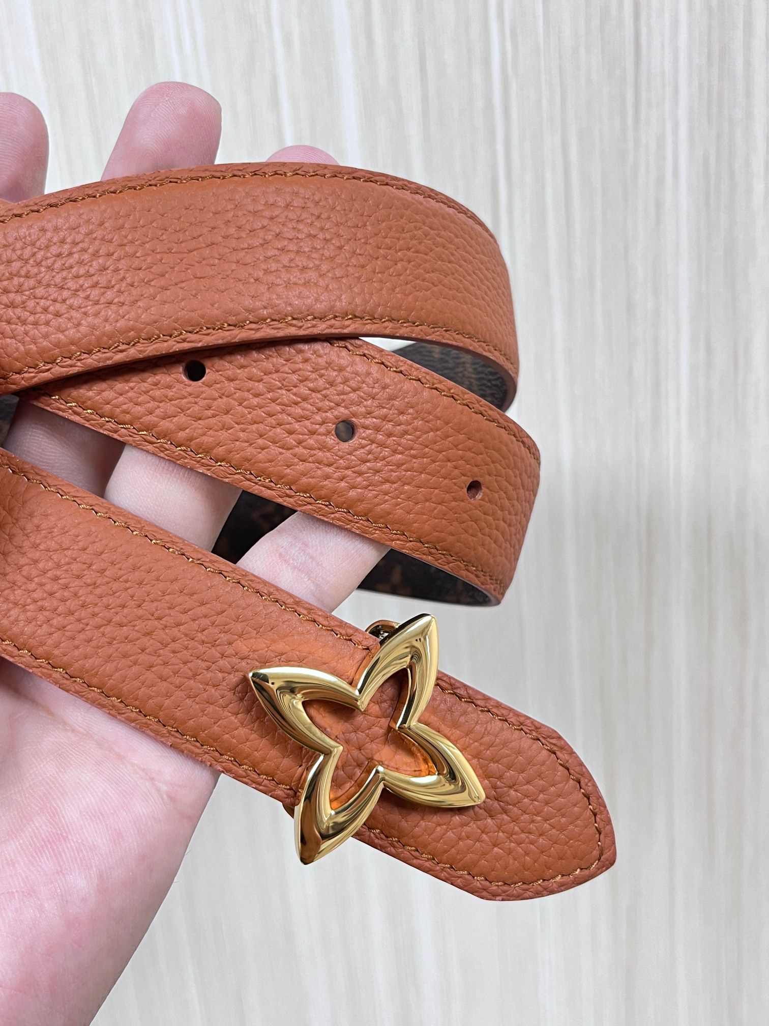Louis Vuitton Female Basic Belt Canvas M-l