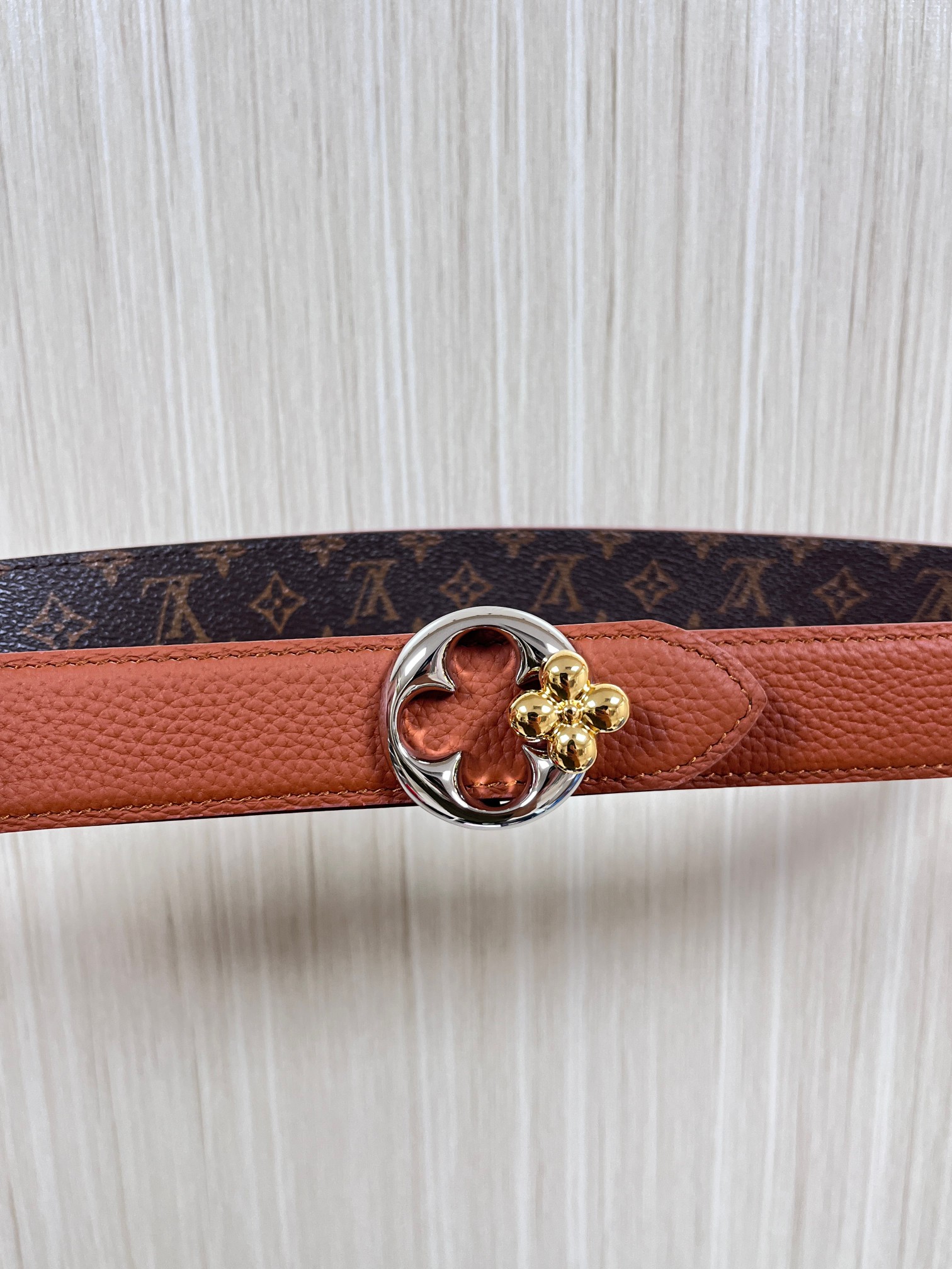 Louis Vuitton Female Basic Belt Canvas M-l