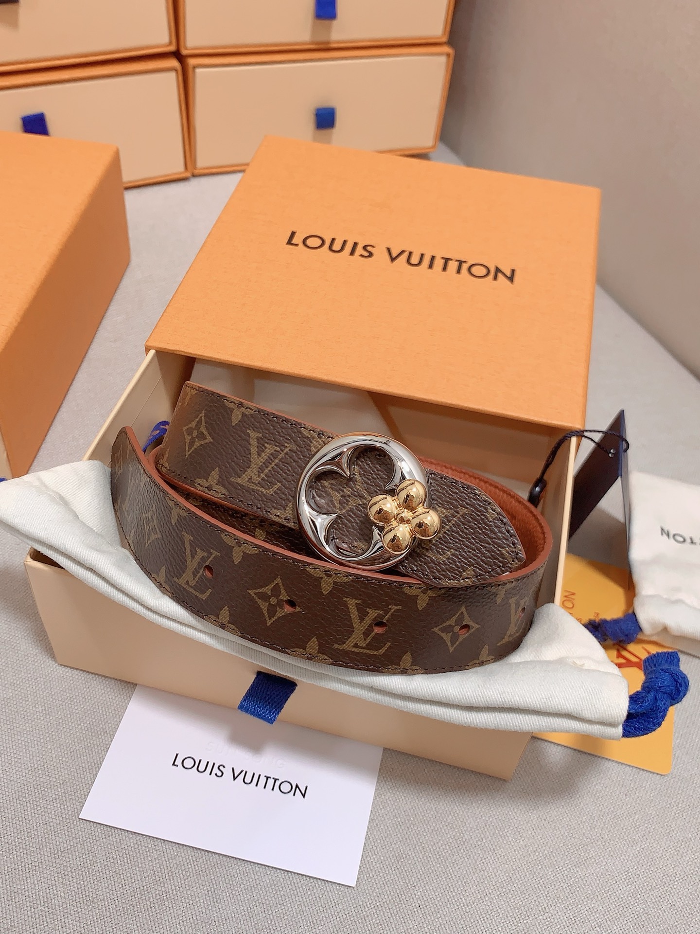 Louis Vuitton Female Basic Belt Cow Leather S-m-l