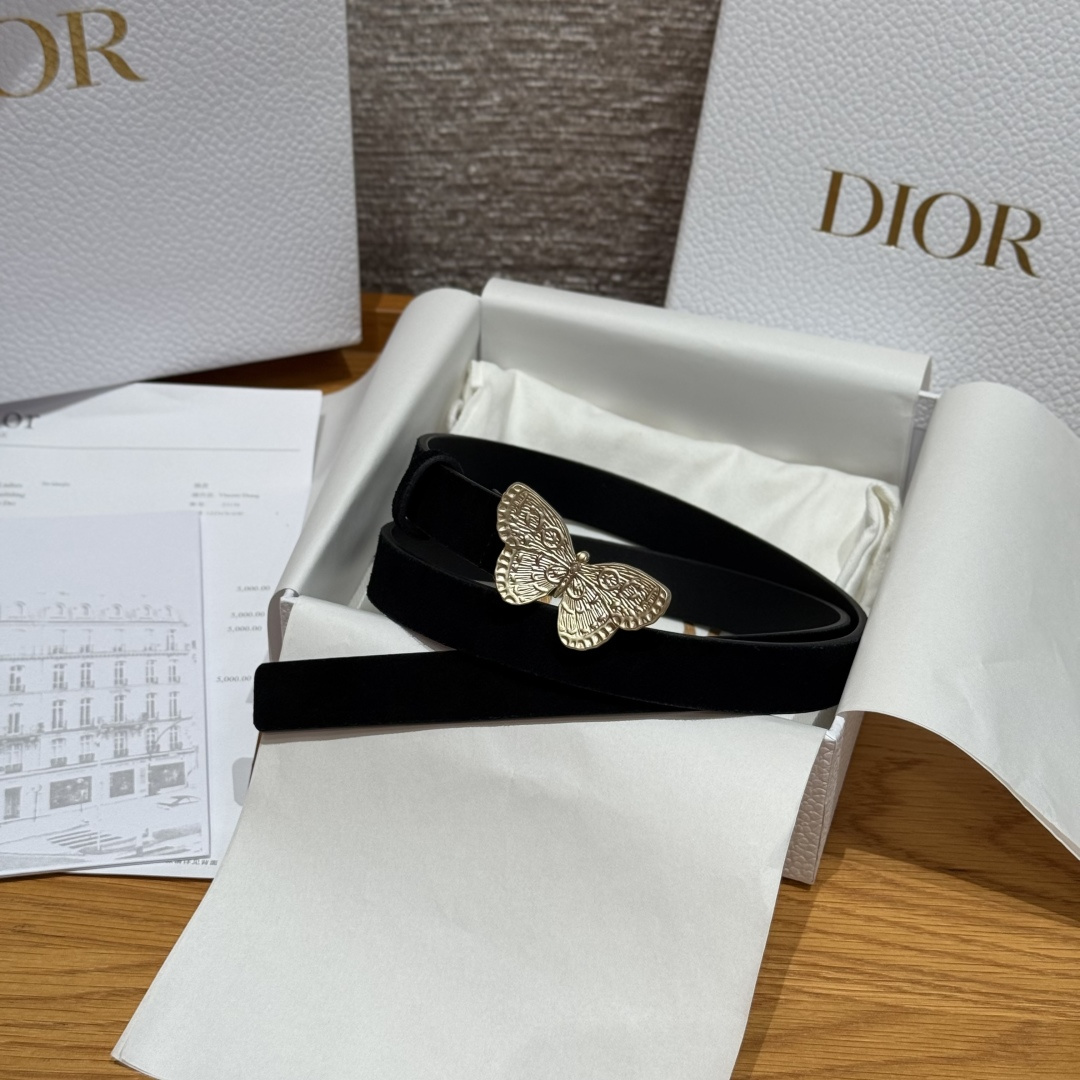 Dior Female Basic Belt Cow Leather S-m