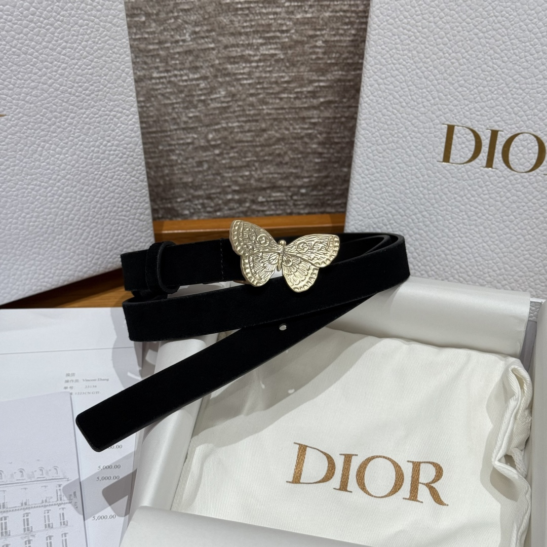 Dior Female Basic Belt Cow Leather S-m