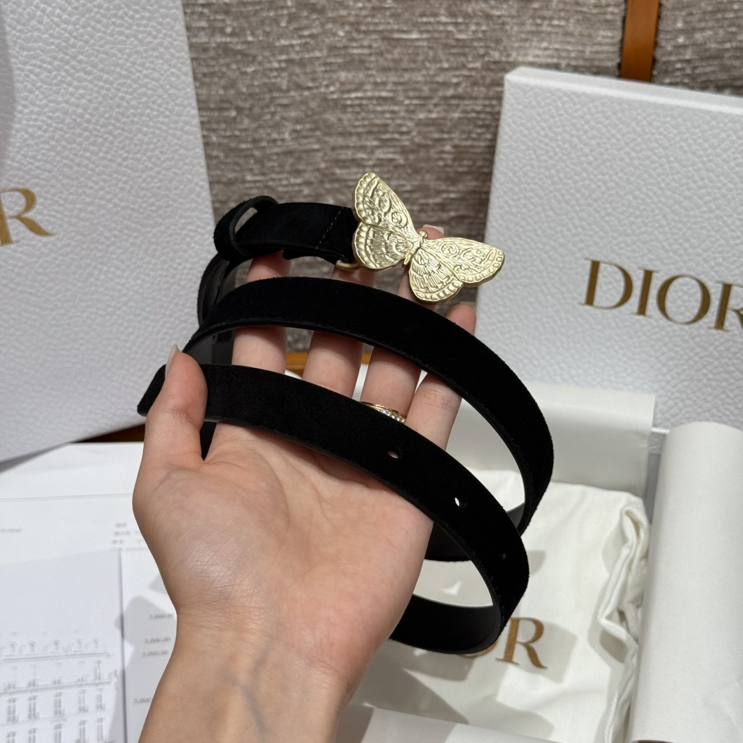 Dior Female Basic Belt Cow Leather S-m