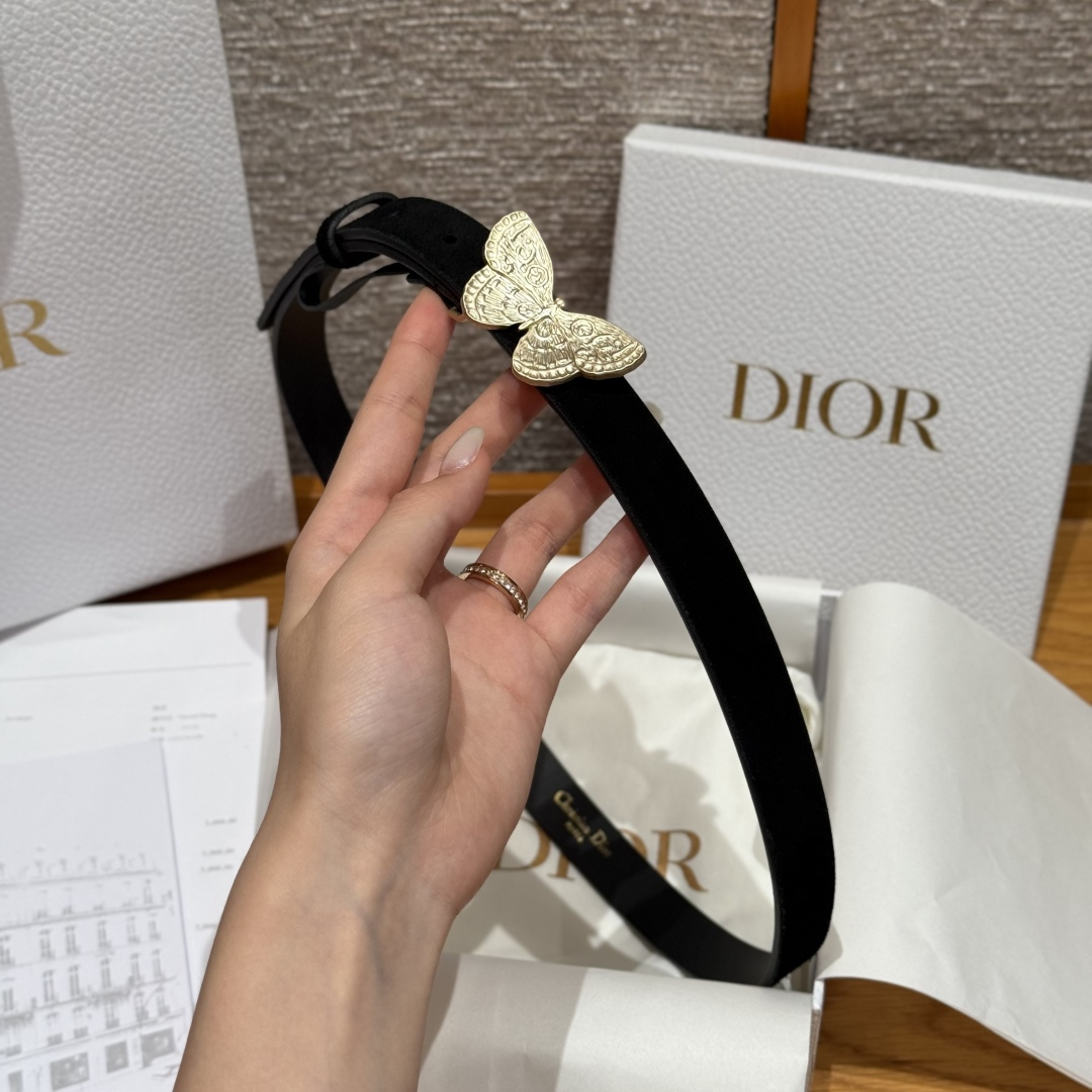 Dior Female Basic Belt Cow Leather S-m