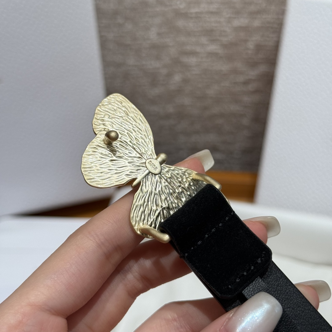 Dior Female Basic Belt Cow Leather S-m