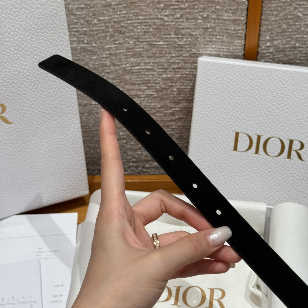 Dior Female Basic Belt Cow Leather S-m