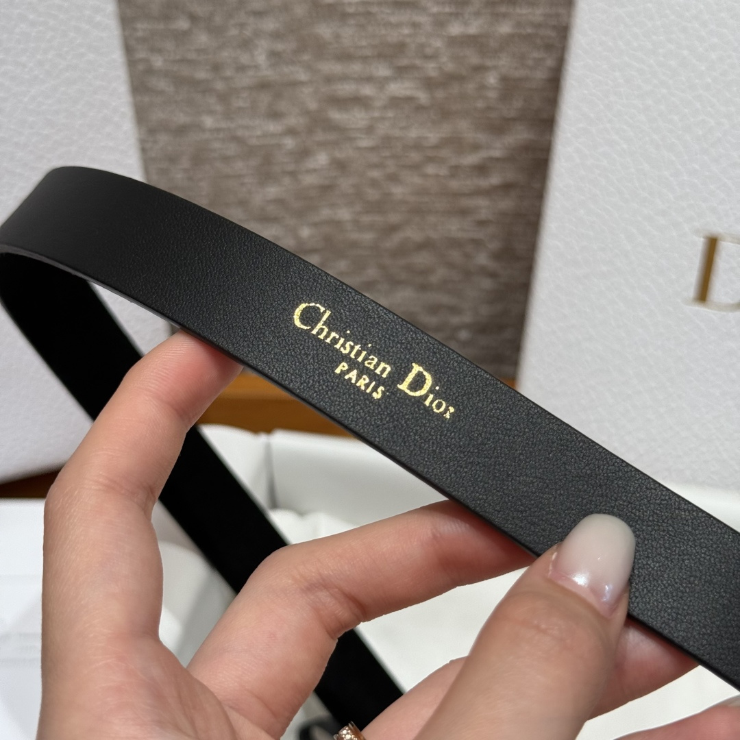 Dior Female Basic Belt Cow Leather S-m