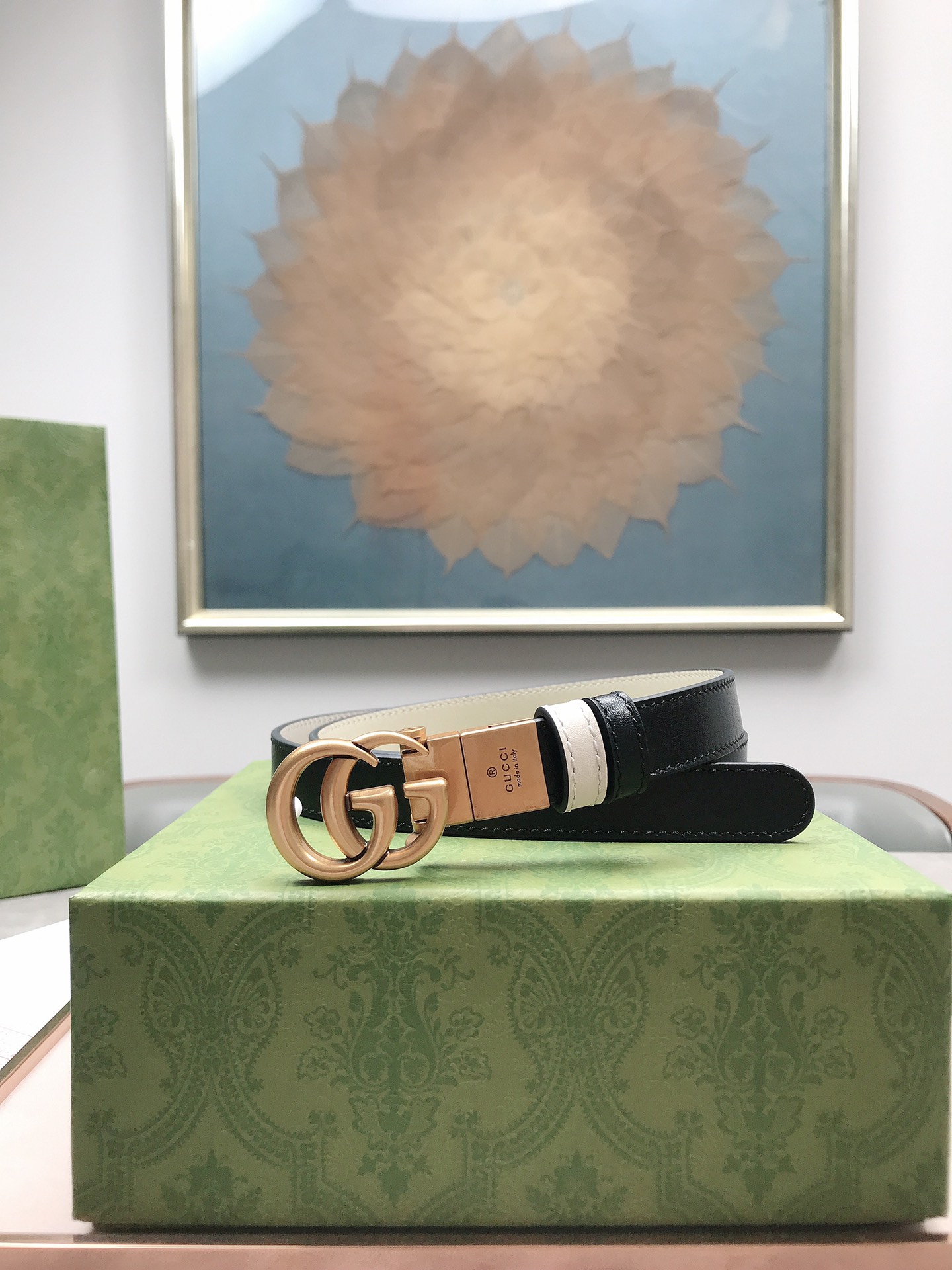 Gucci Female Basic Belt Black M