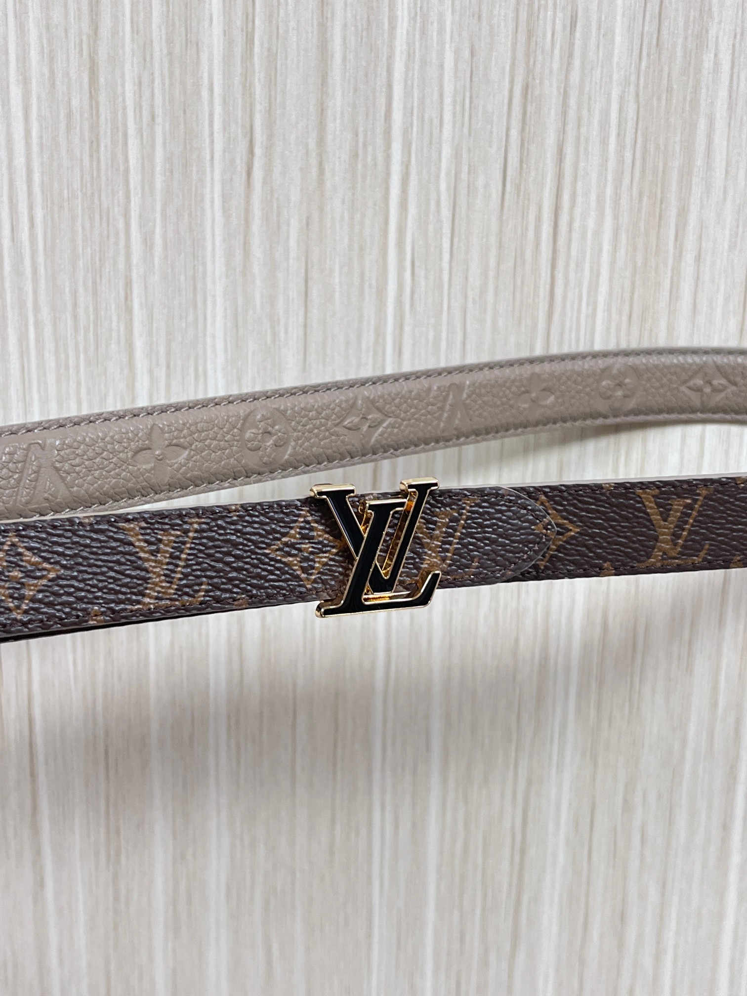 Female Basic Belt Canvas