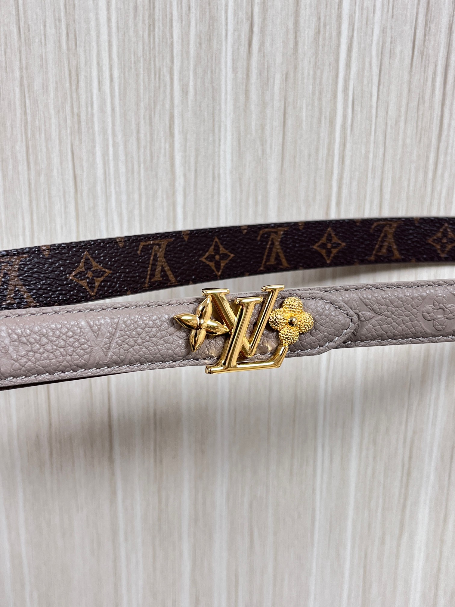 Female Basic Belt Canvas