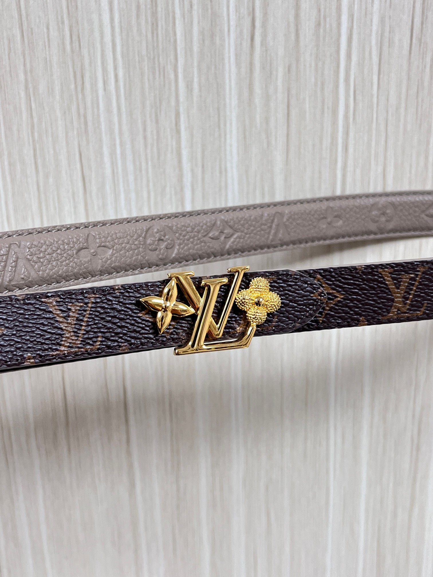 Female Basic Belt Canvas