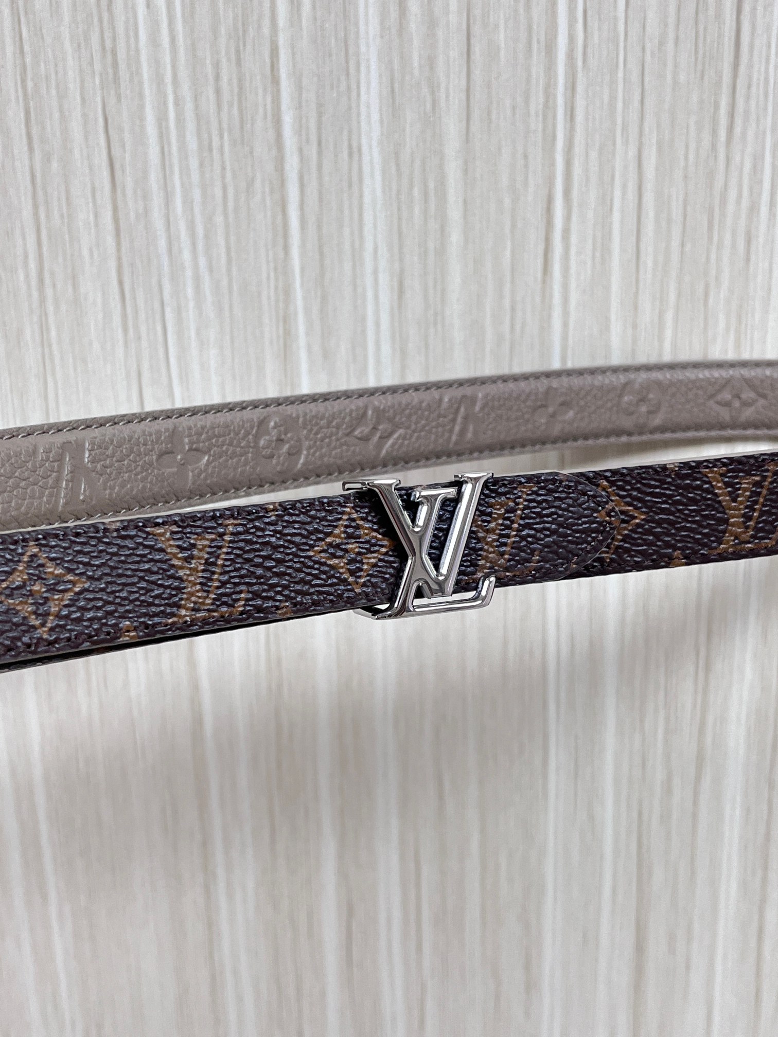 Female Basic Belt Canvas