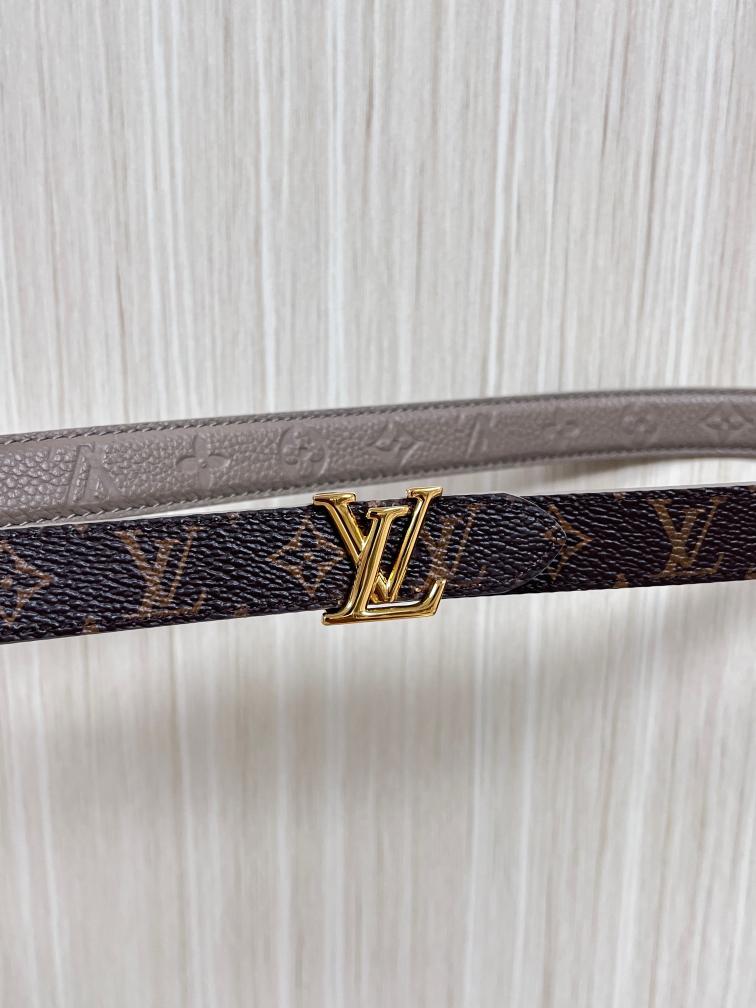 Female Basic Belt Canvas