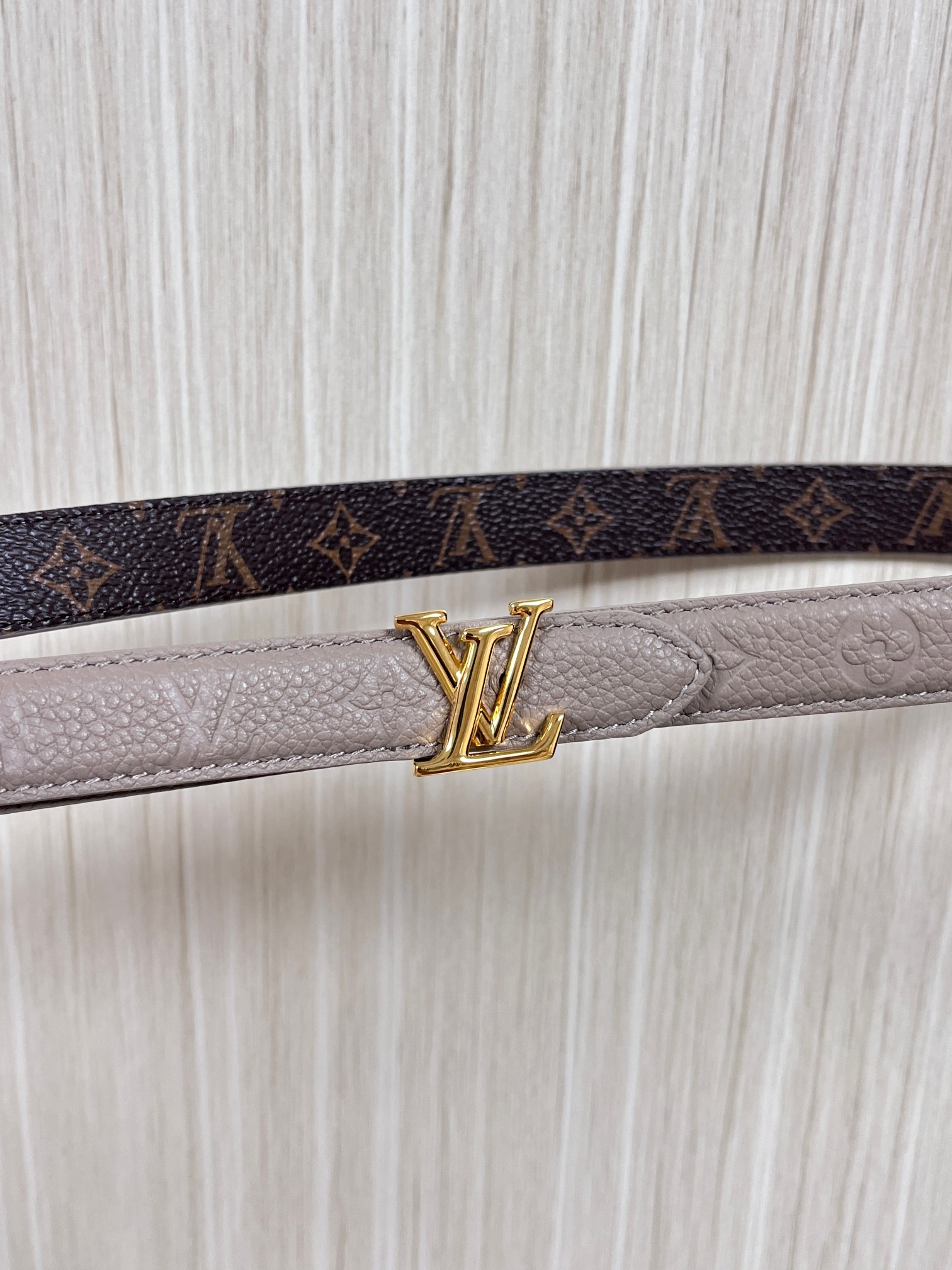 Female Basic Belt Canvas