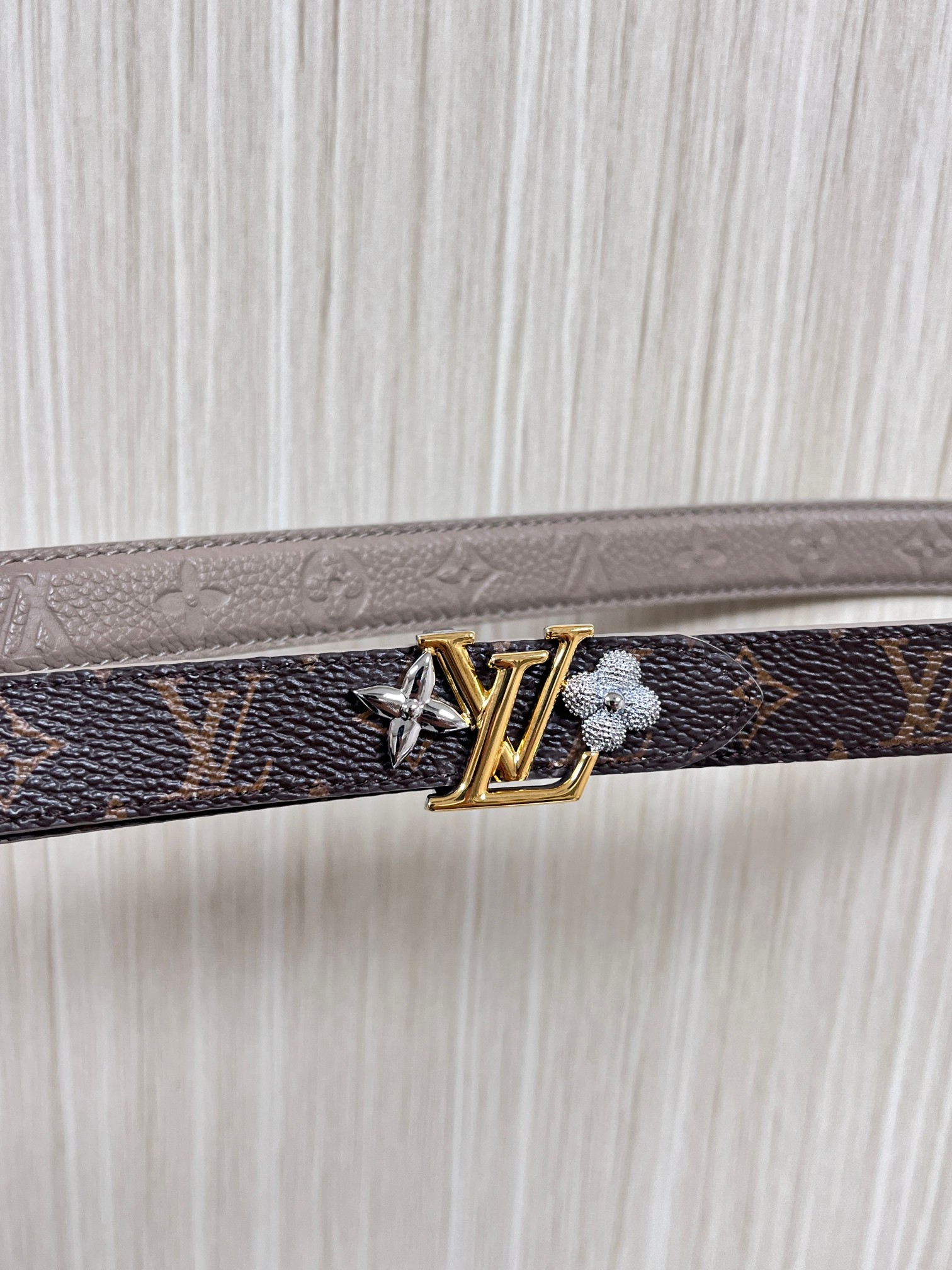 Female Basic Belt Canvas