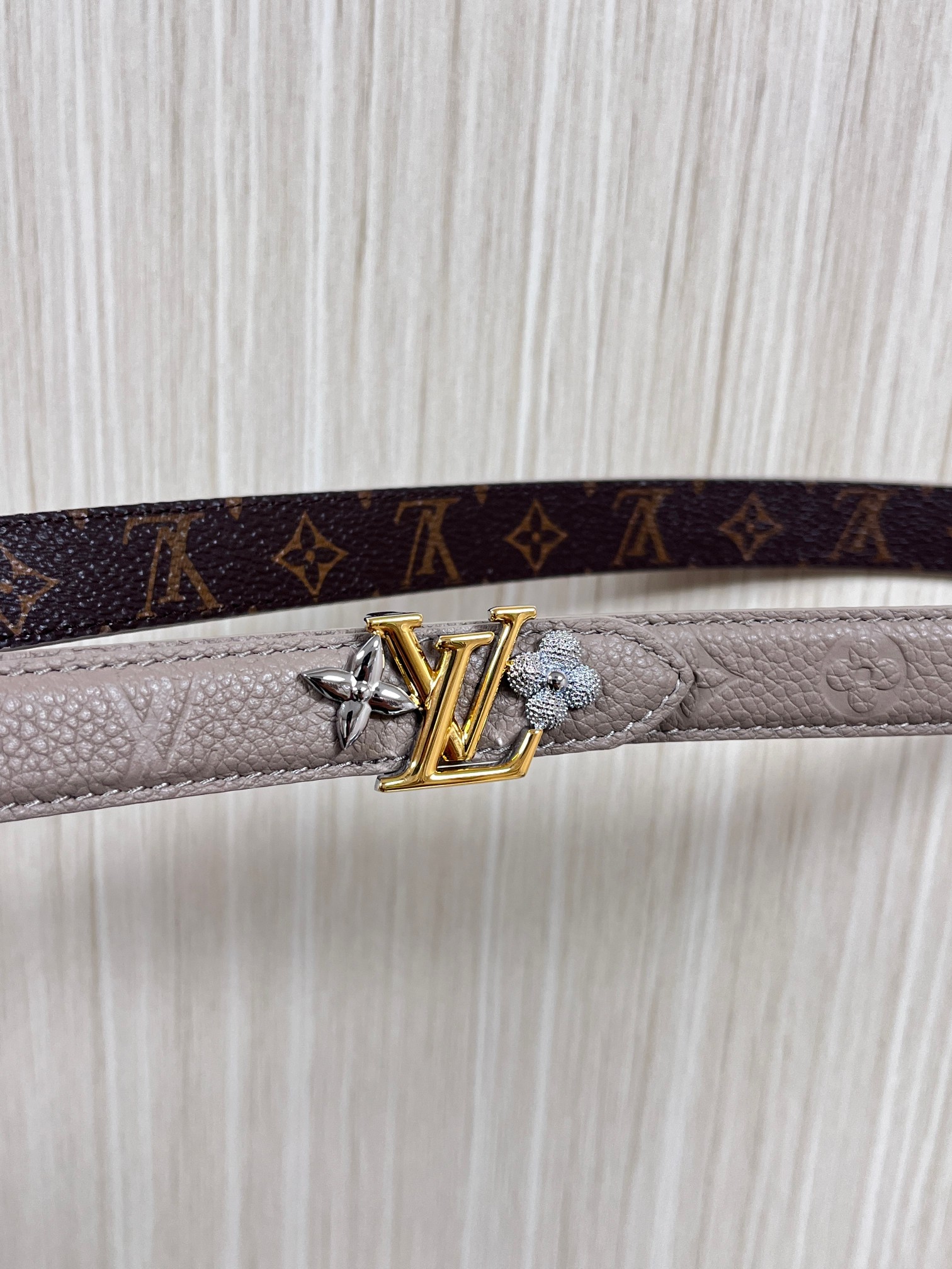 Female Basic Belt Canvas