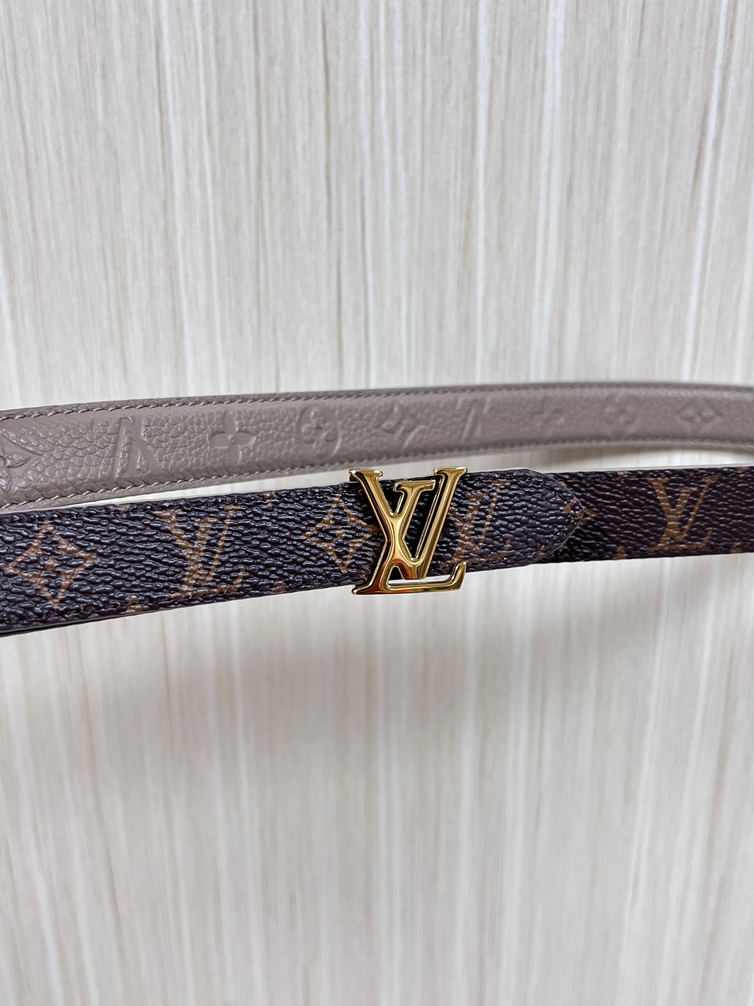 Female Basic Belt Canvas