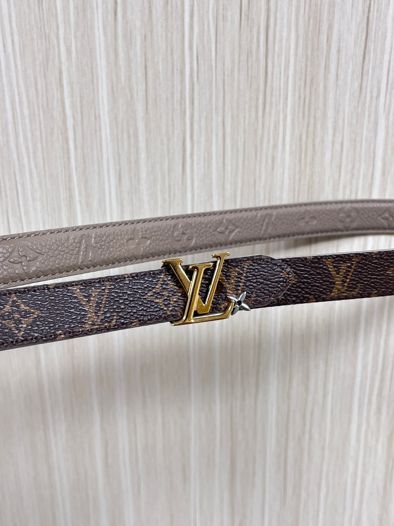 Female Basic Belt Canvas