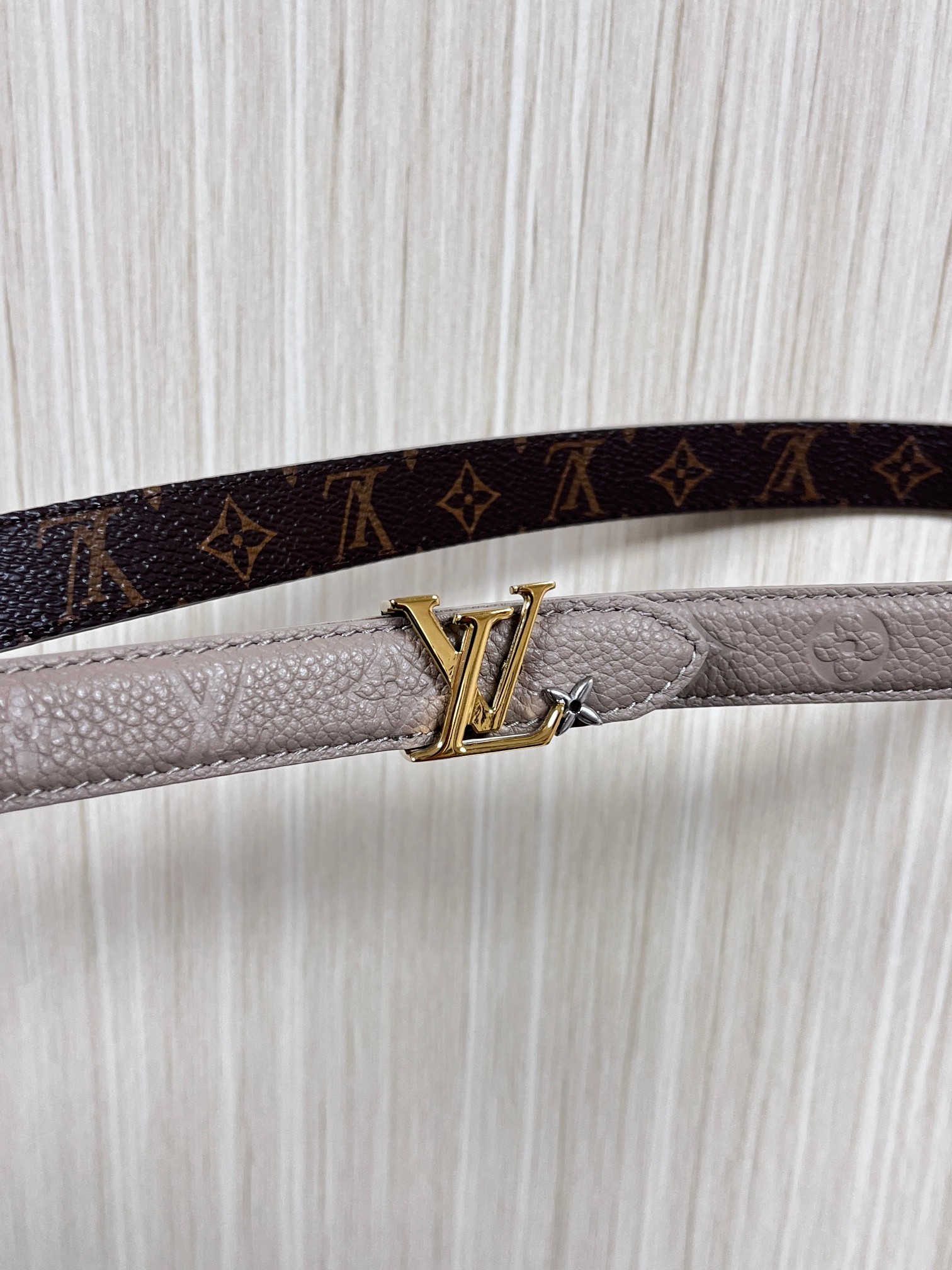 Female Basic Belt Canvas