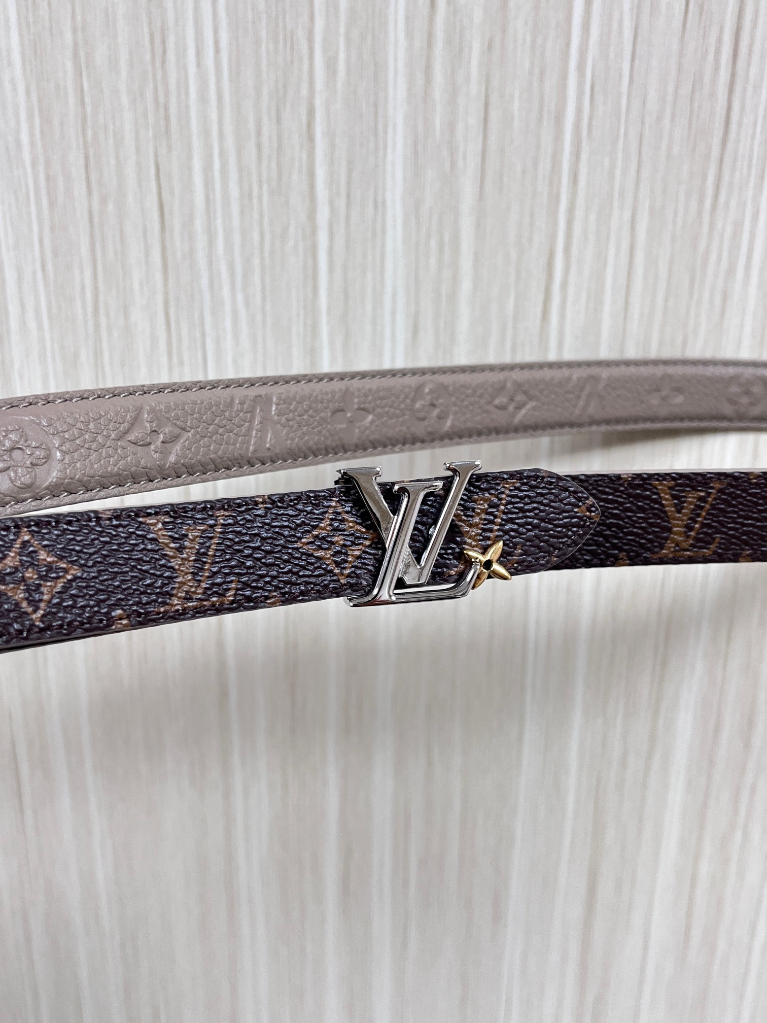 Female Basic Belt Canvas