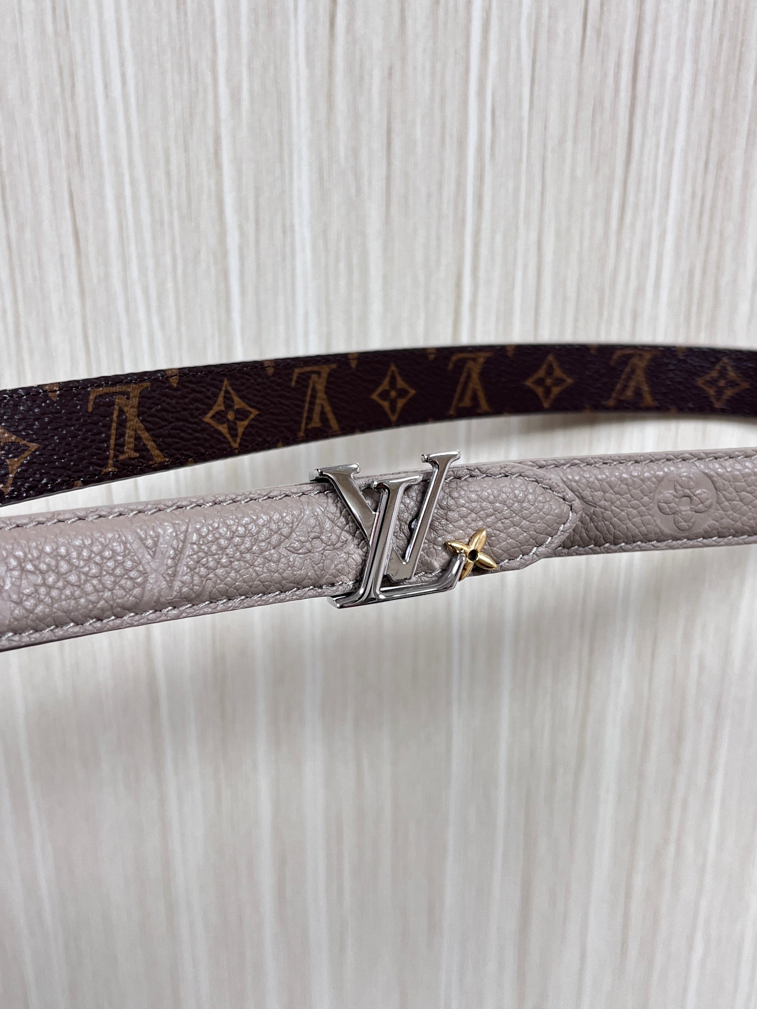 Female Basic Belt Canvas