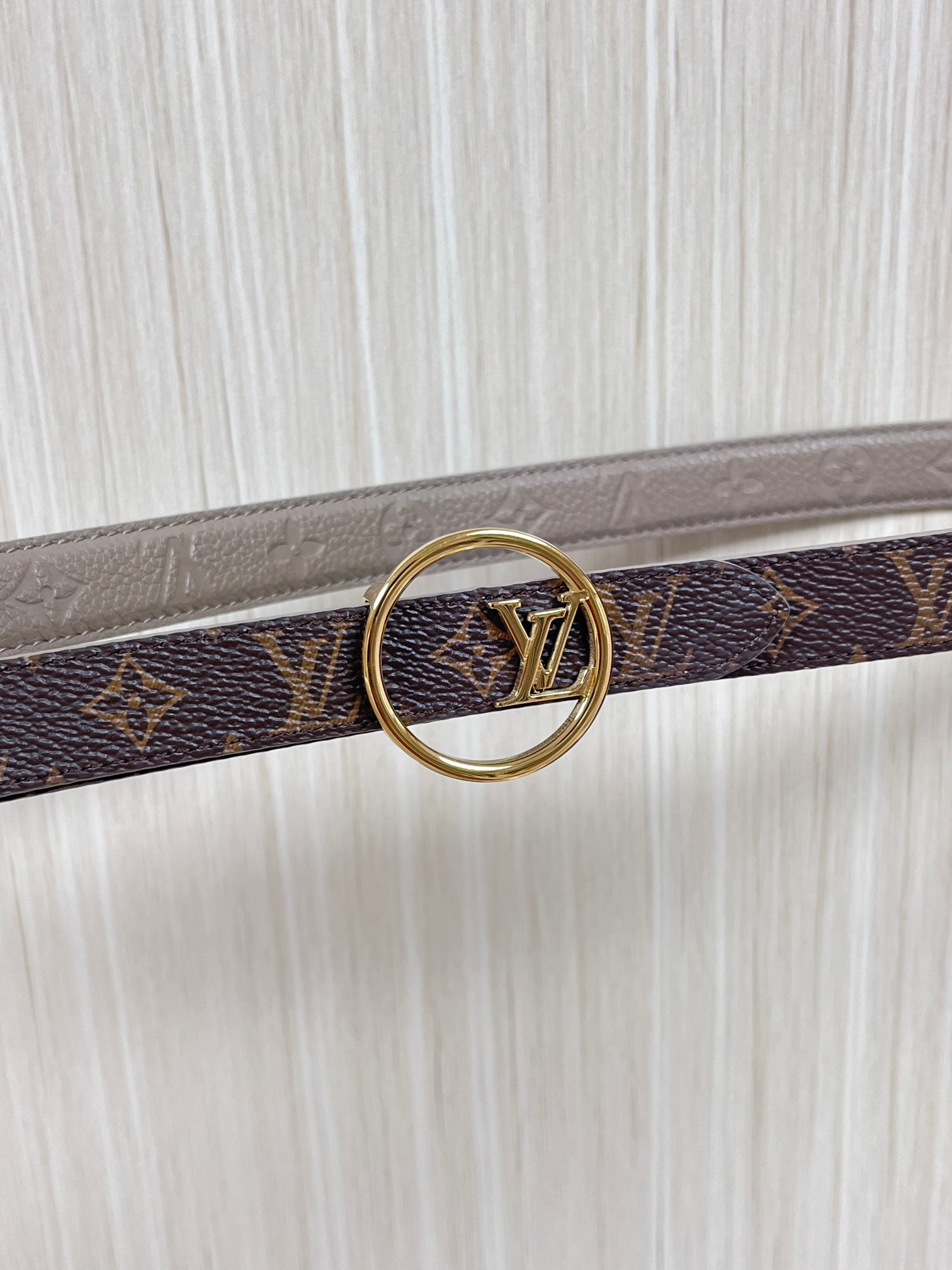 Female Basic Belt Canvas