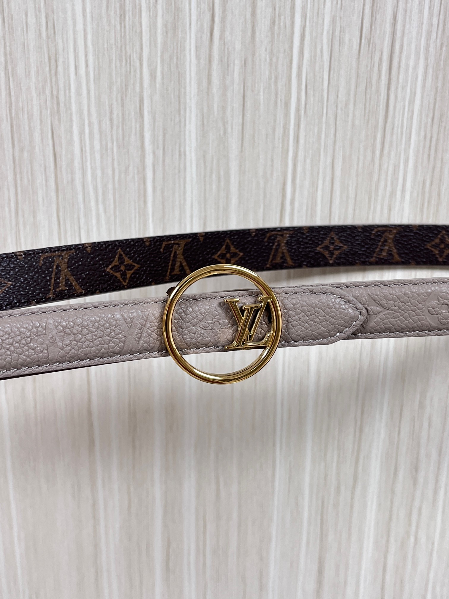 Female Basic Belt Canvas