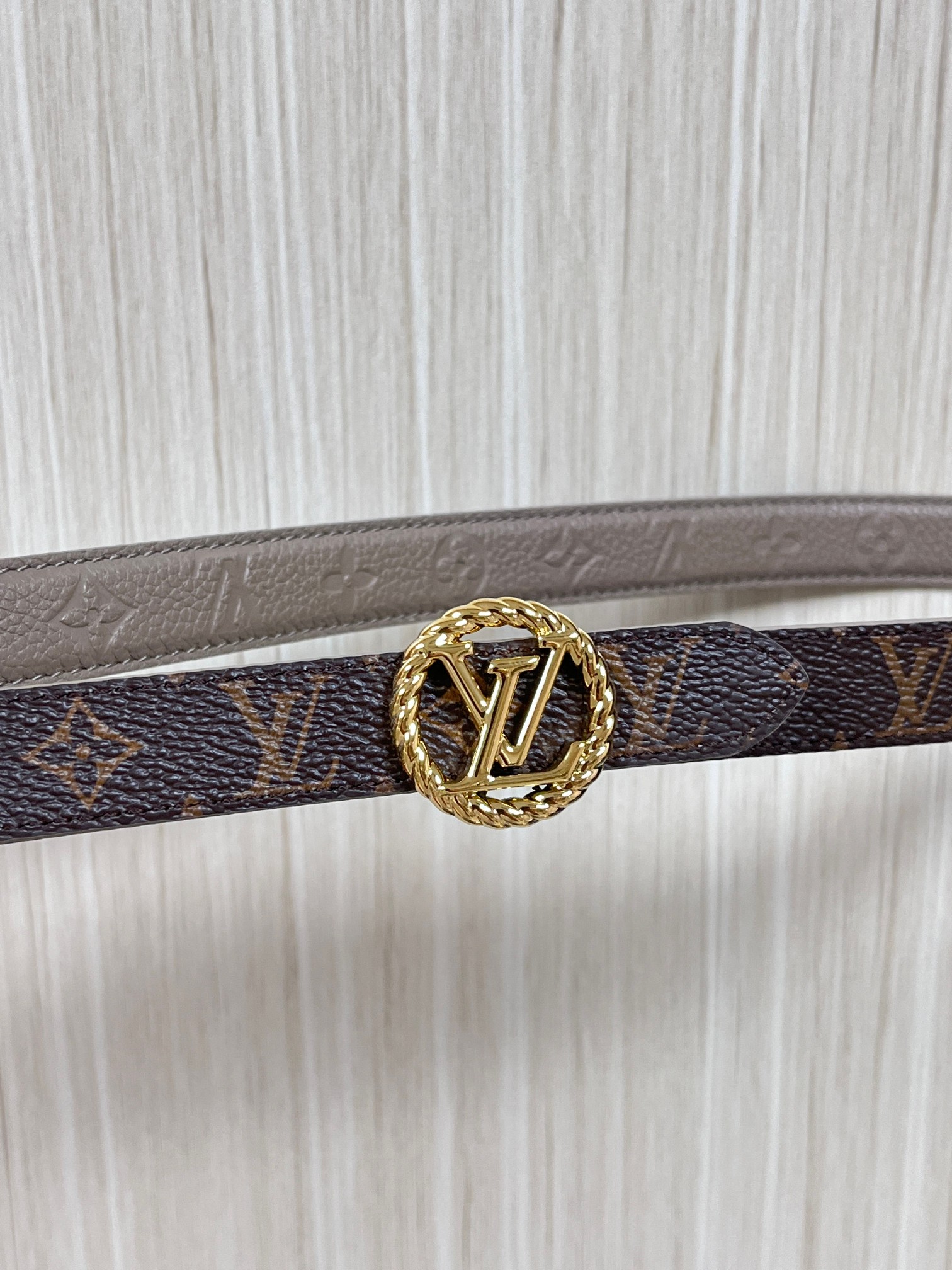 Female Basic Belt Canvas