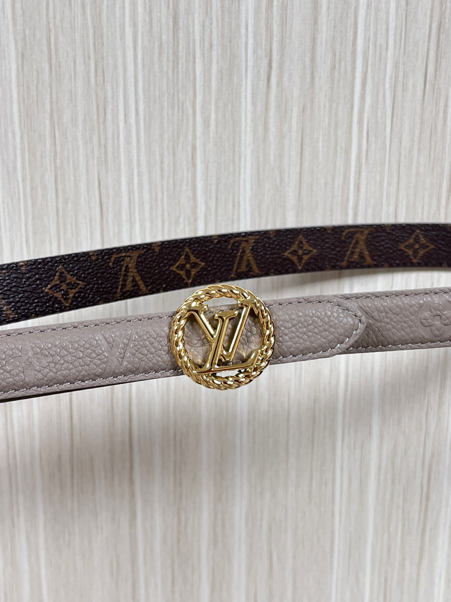 Female Basic Belt Canvas