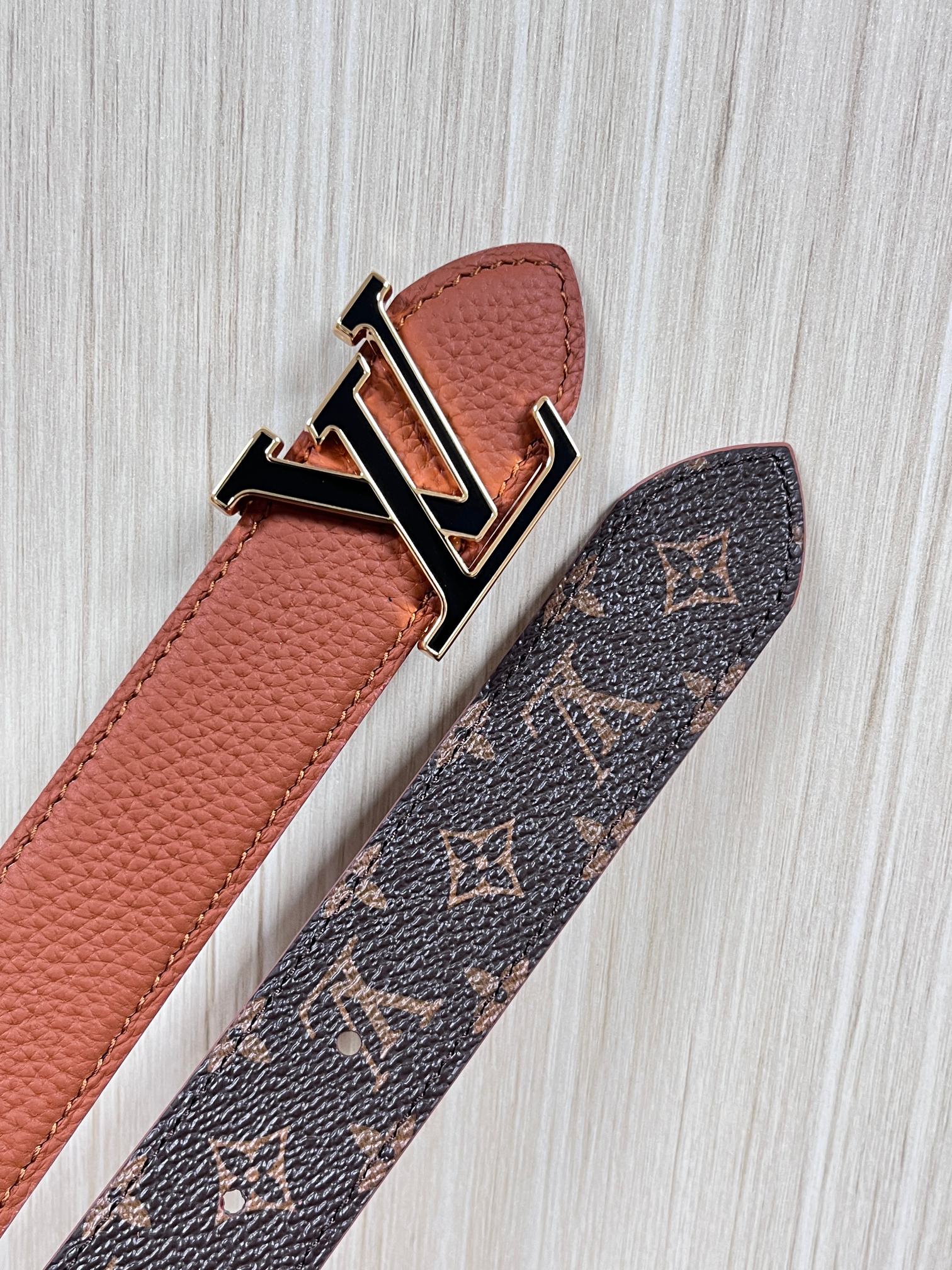 Louis Vuitton Female Basic Belt Canvas M-l