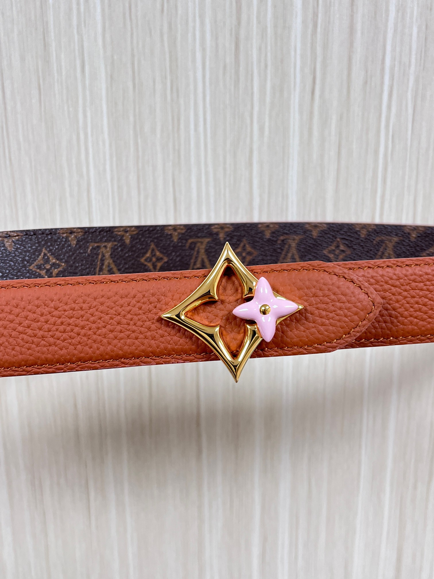 Louis Vuitton Female Basic Belt Canvas M-l