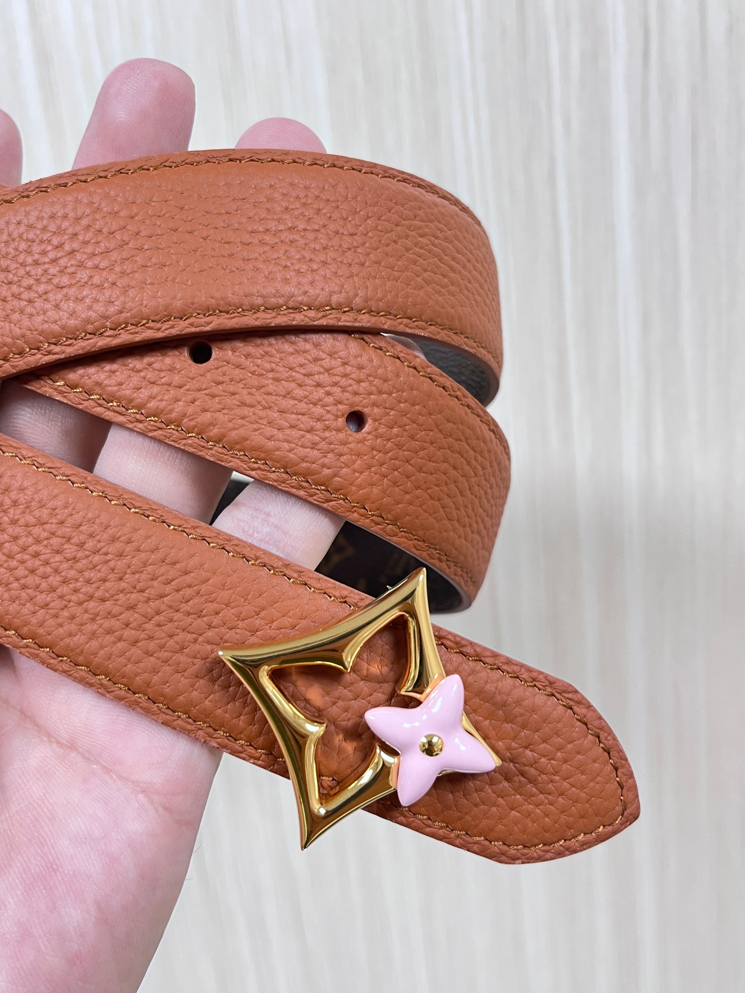 Louis Vuitton Female Basic Belt Canvas M-l