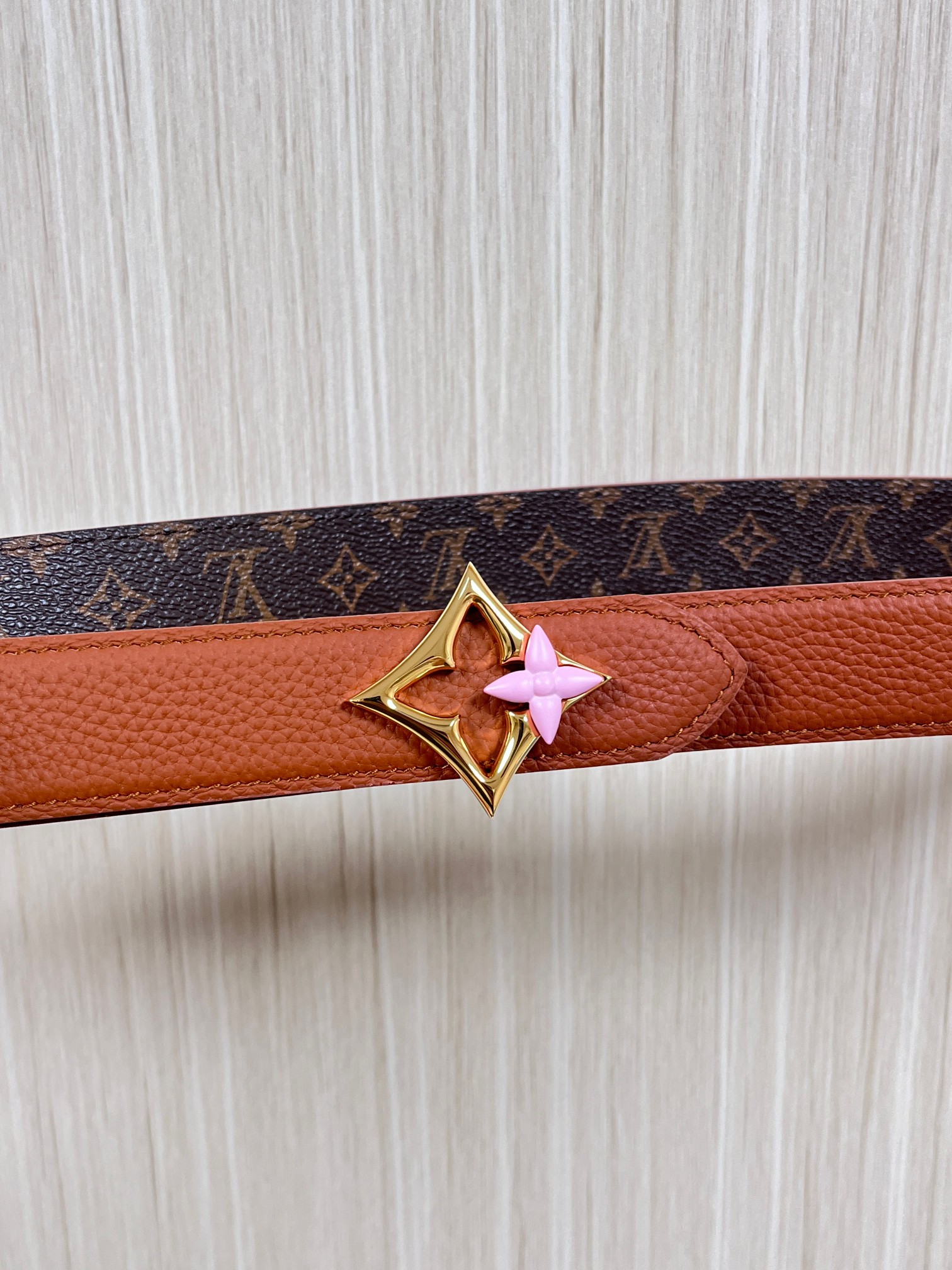 Louis Vuitton Female Basic Belt Canvas M-l