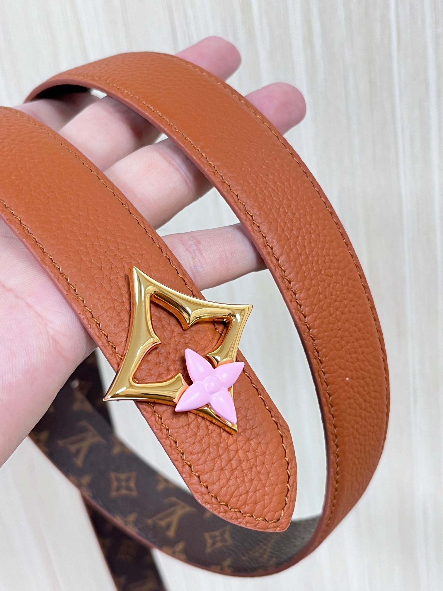 Louis Vuitton Female Basic Belt Canvas M-l