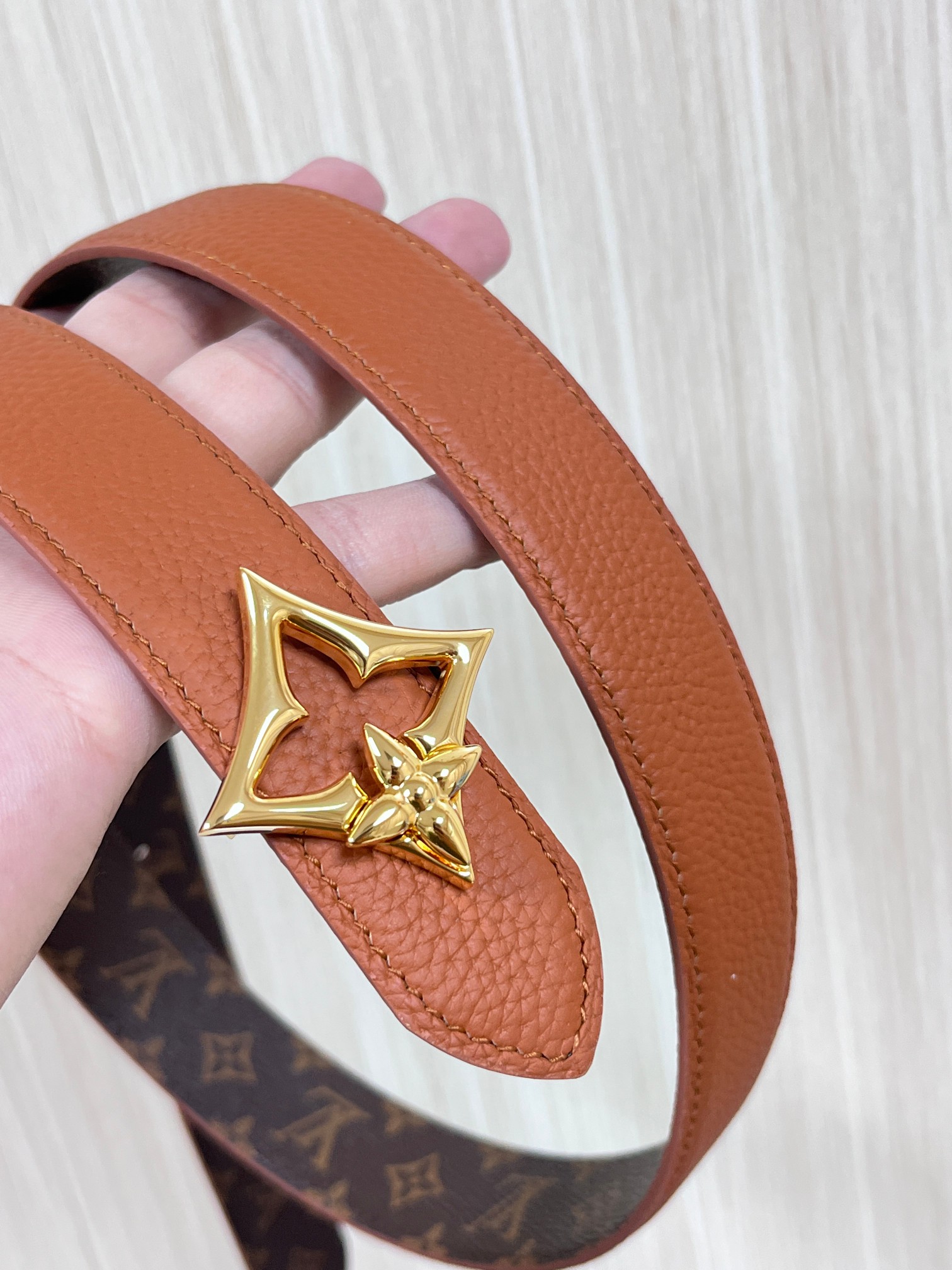 Louis Vuitton Female Basic Belt Canvas M-l