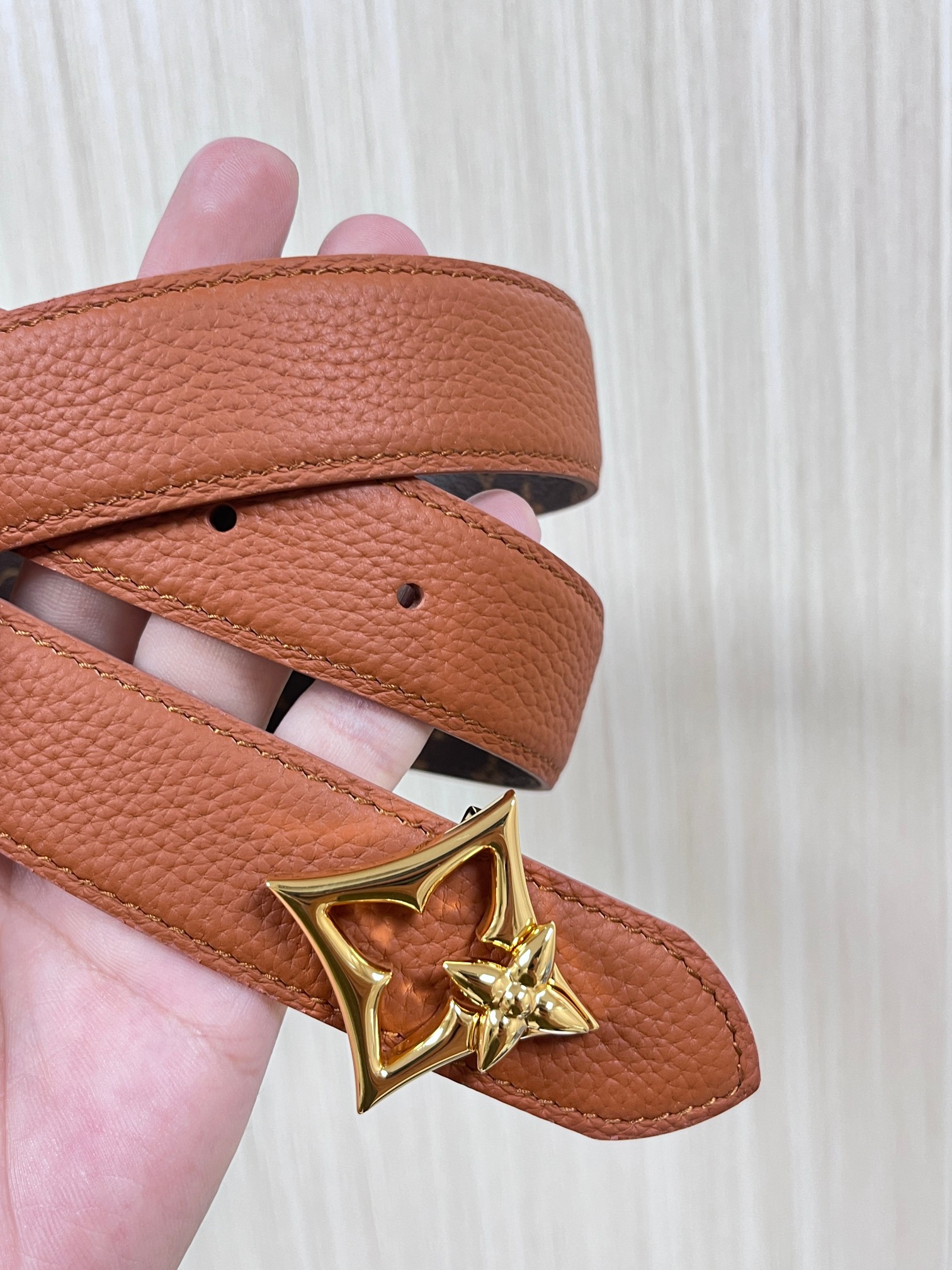 Louis Vuitton Female Basic Belt Canvas M-l