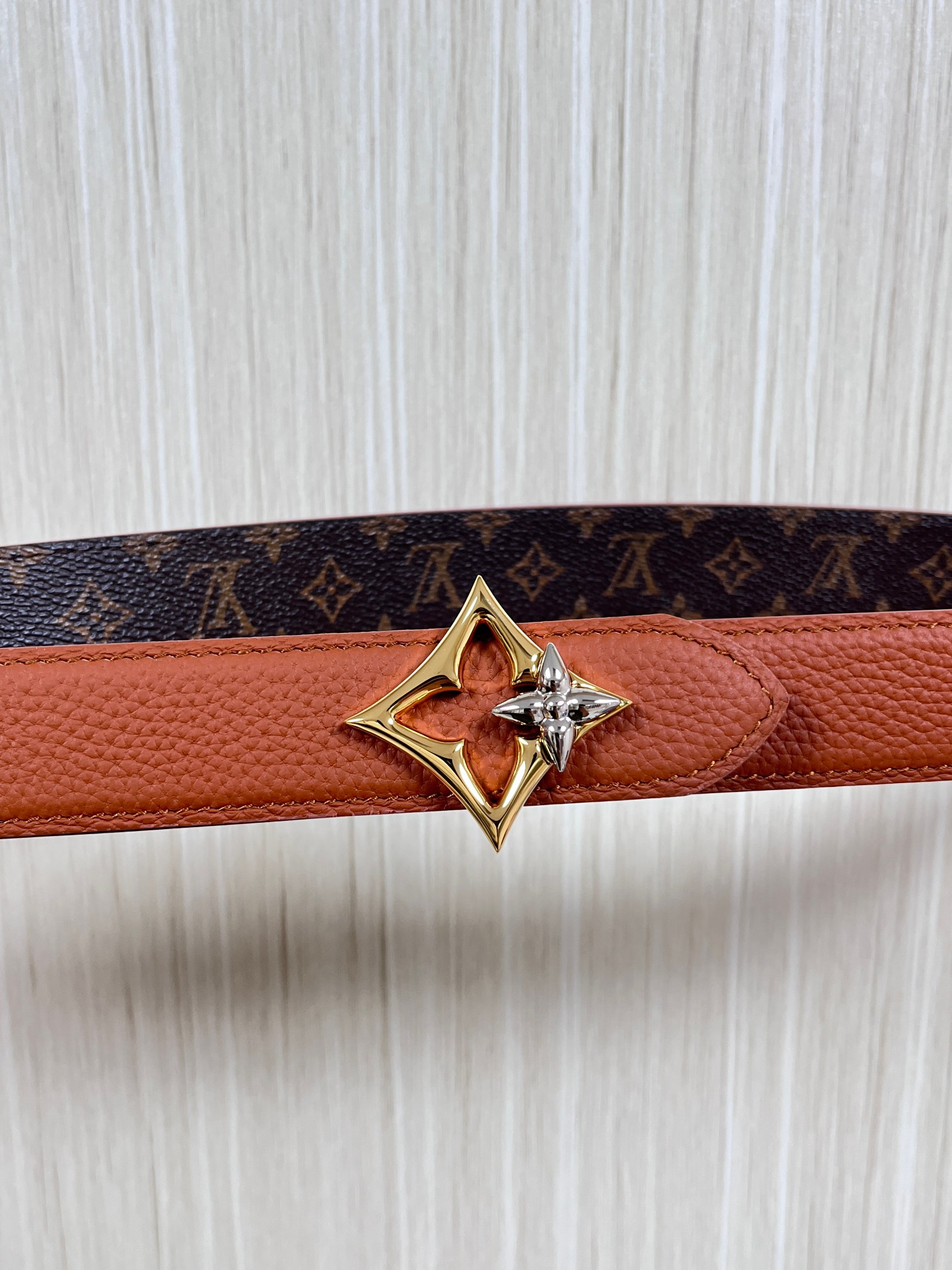 Louis Vuitton Female Basic Belt Canvas M-l