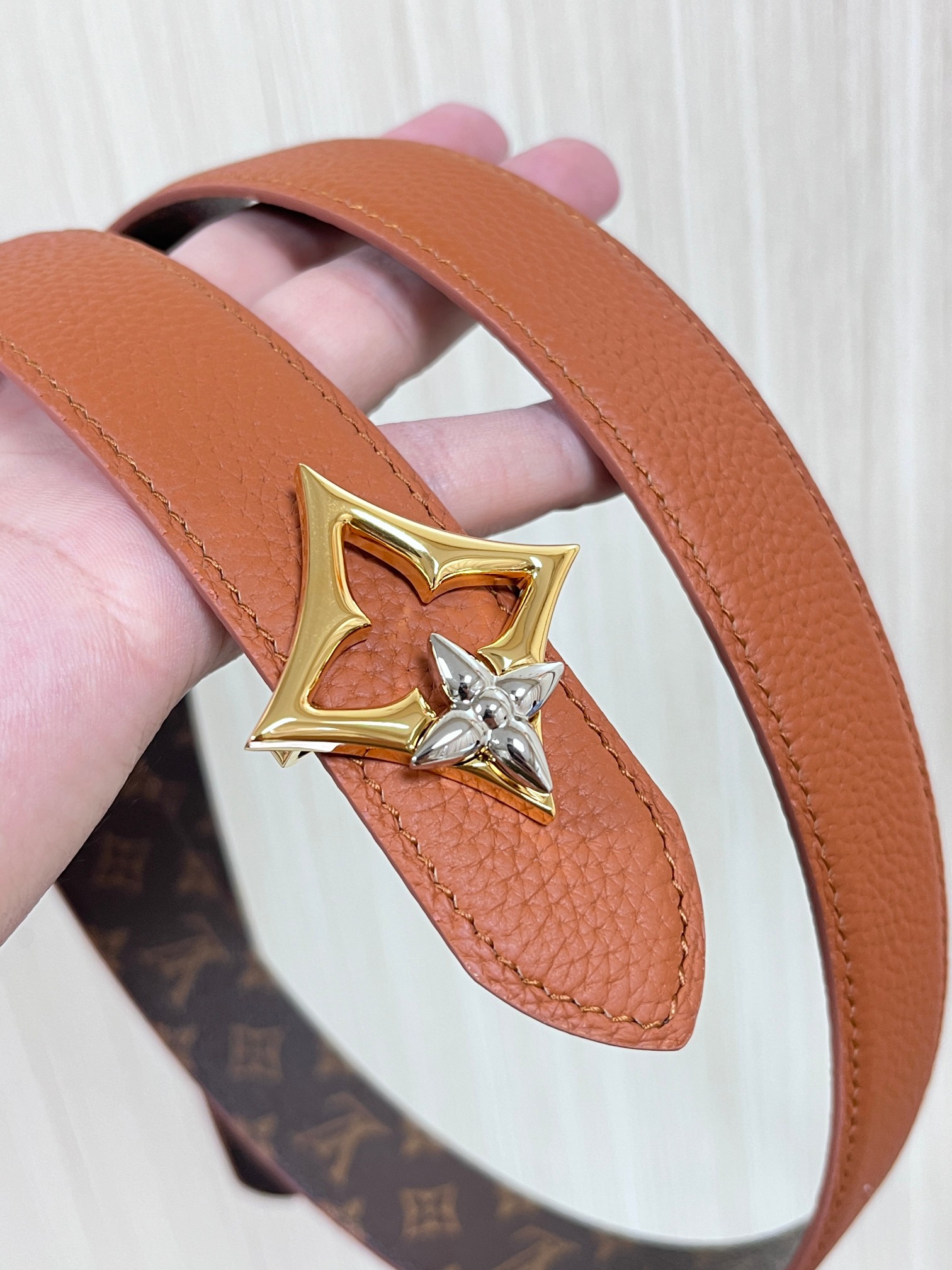 Louis Vuitton Female Basic Belt Canvas M-l