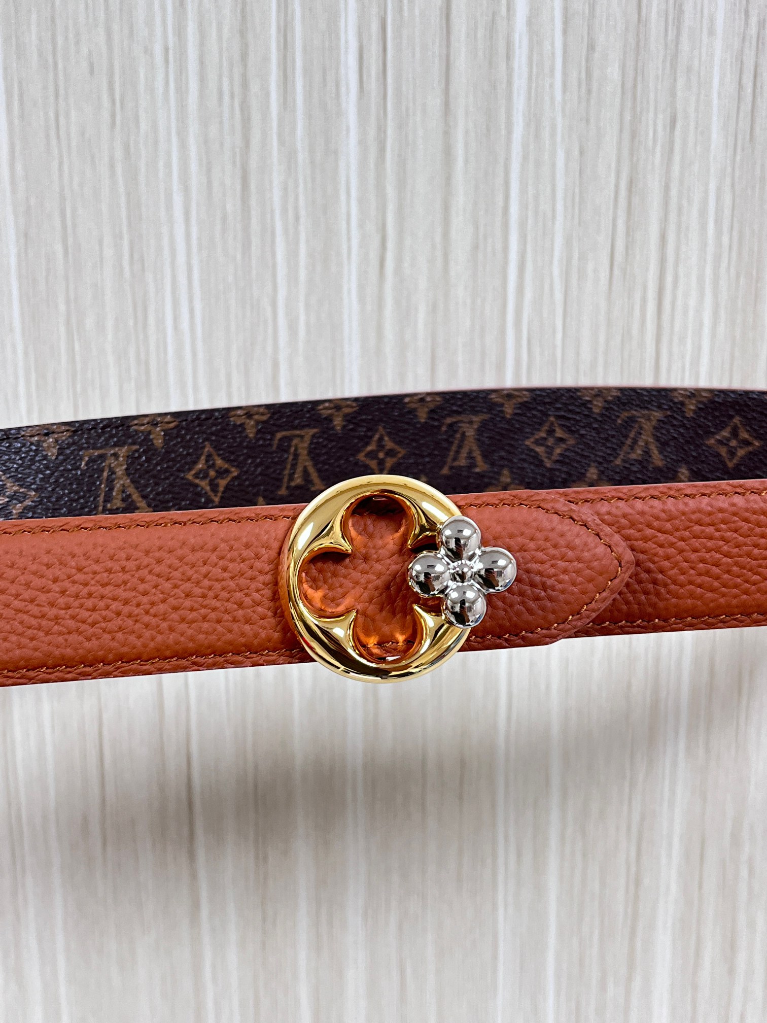 Louis Vuitton Female Basic Belt Canvas M-l